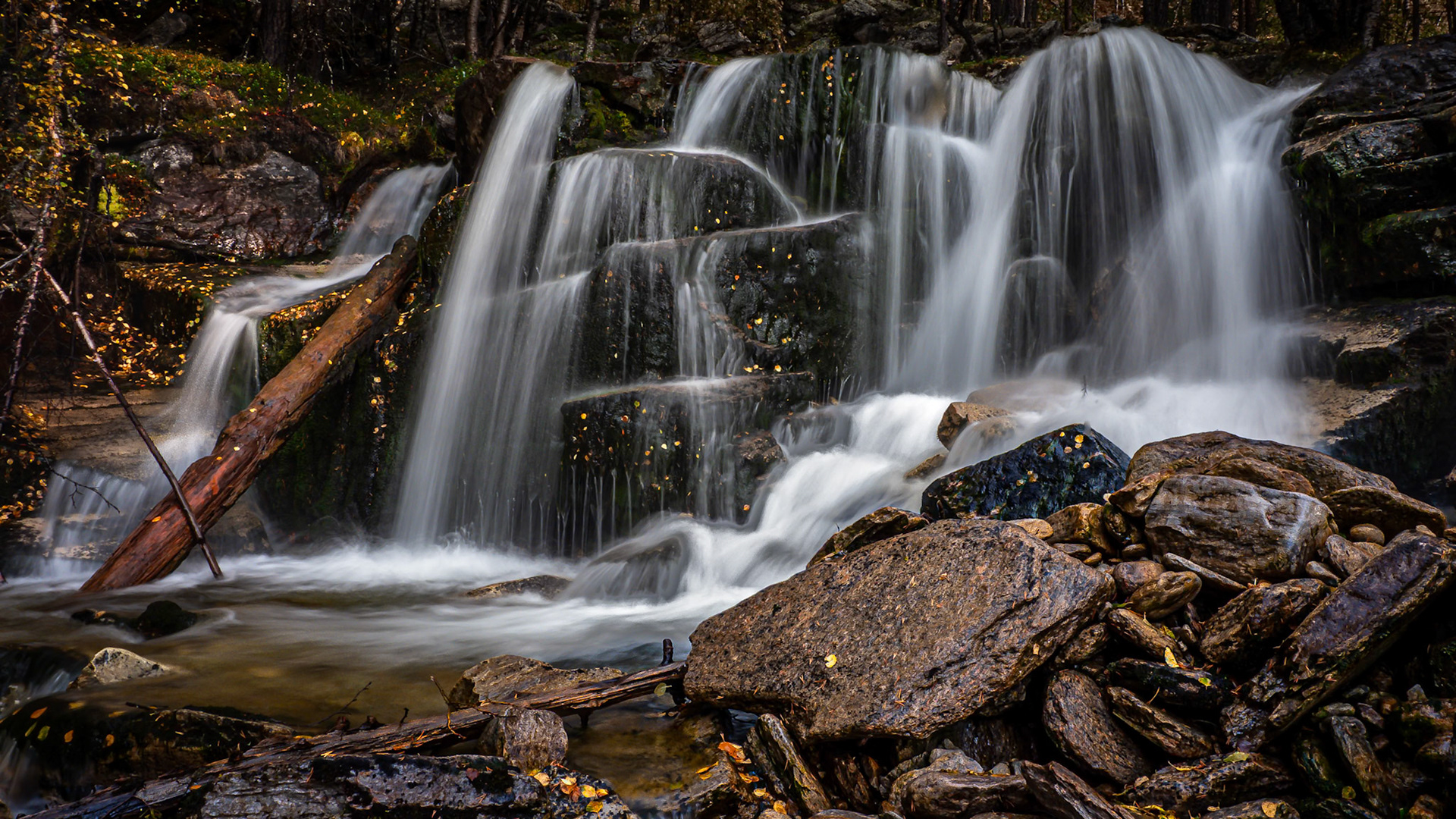 Autumn Wilderness.  - Hedmark, Norway. September 2020