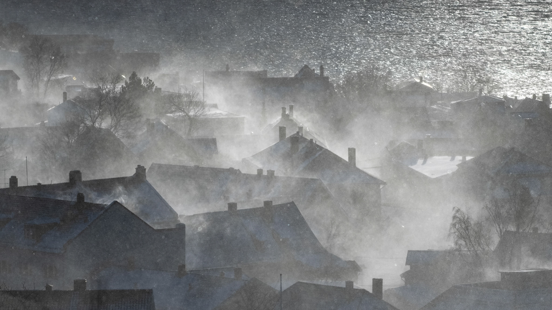 January Blizzard.  - Drøbak, Norway. January 2025