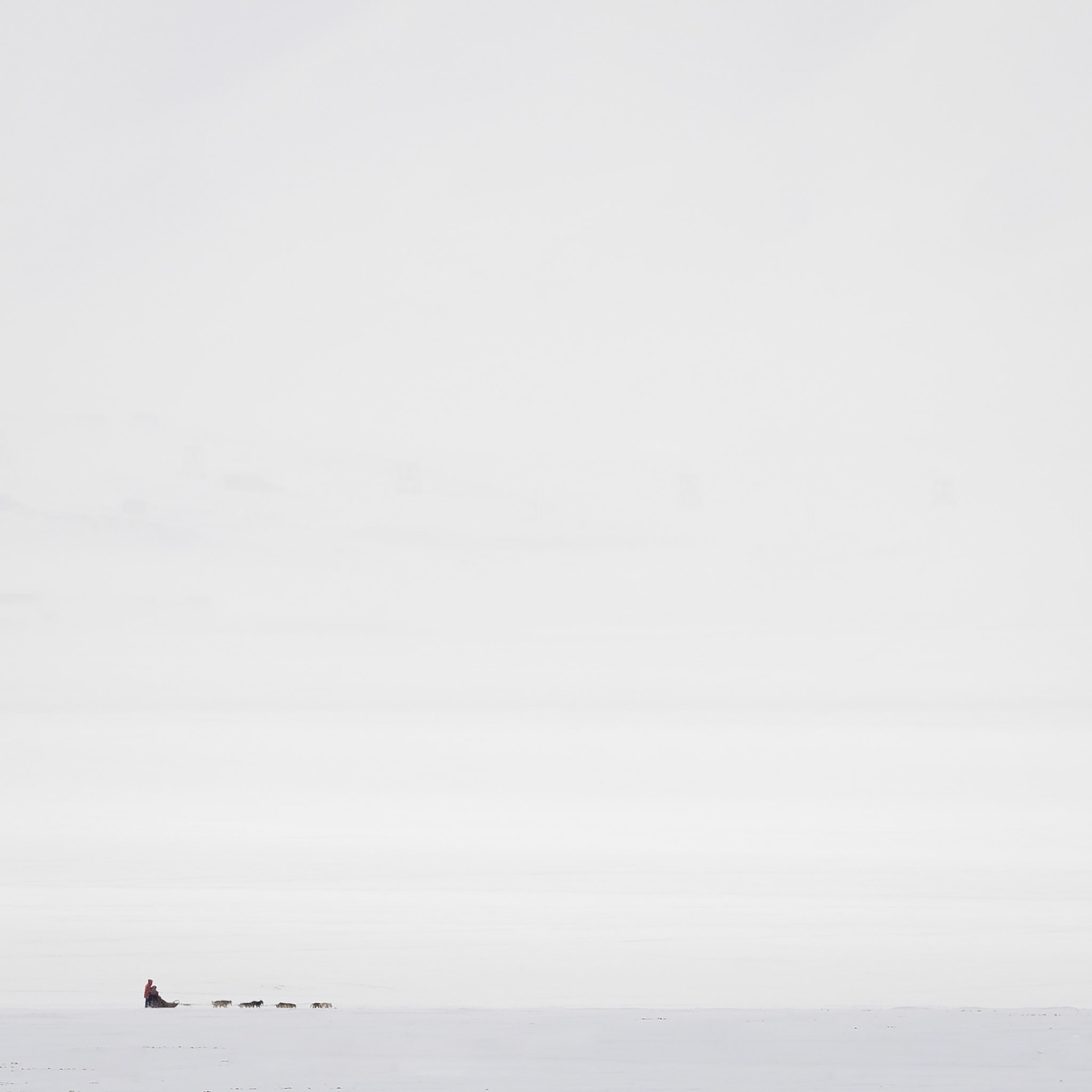Into the Wild.  - Svalbard, Norway. April 2025