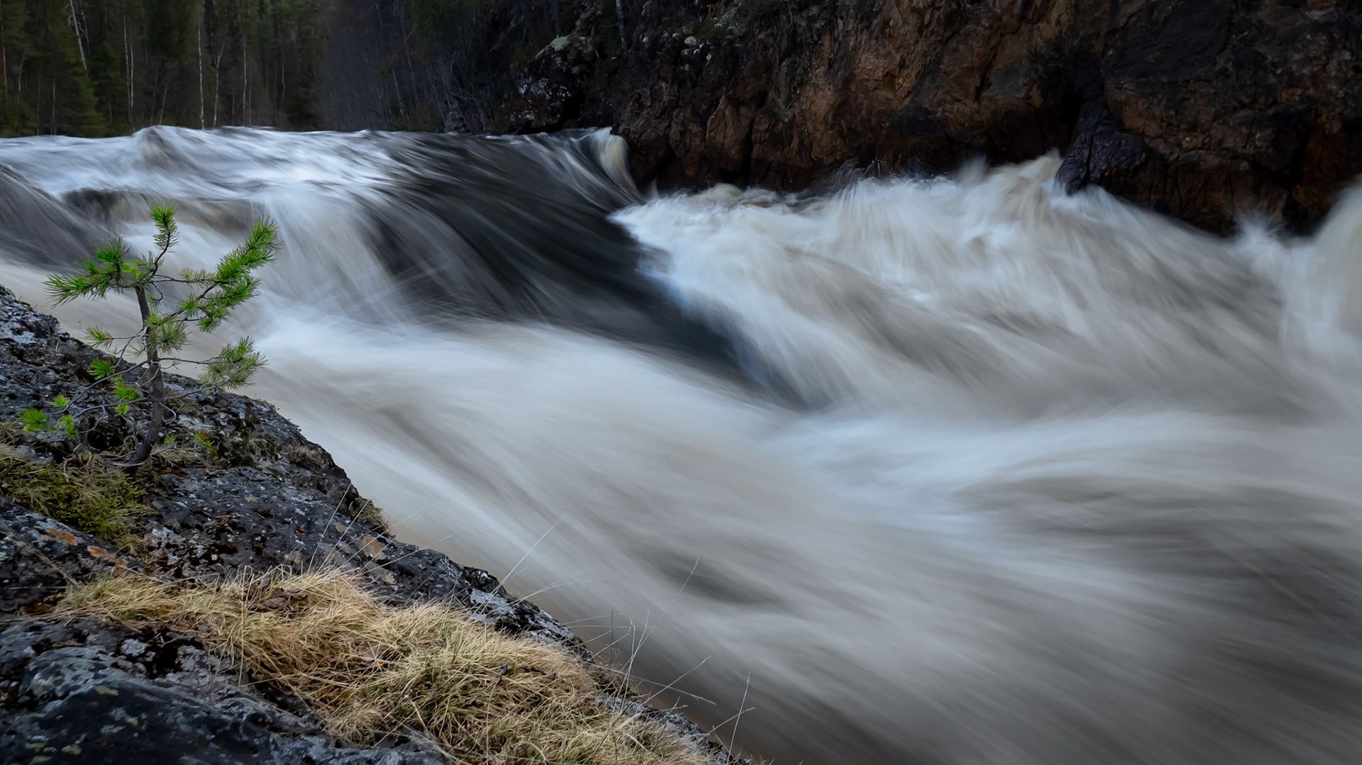 Spring Power  - Oulanka National Park, Finland. May 2025