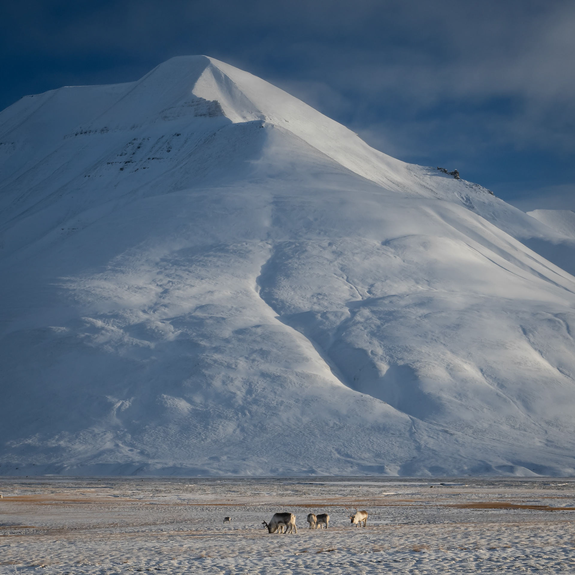 Arctic Noon. - Svalbard, Norway. October 2024