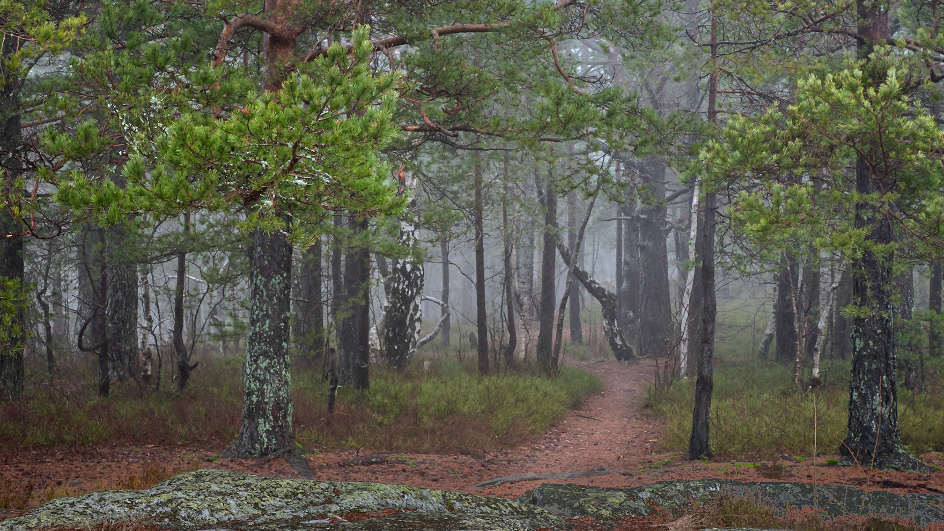 The Trailhead II.  - Drøbak, Norway. February 2021