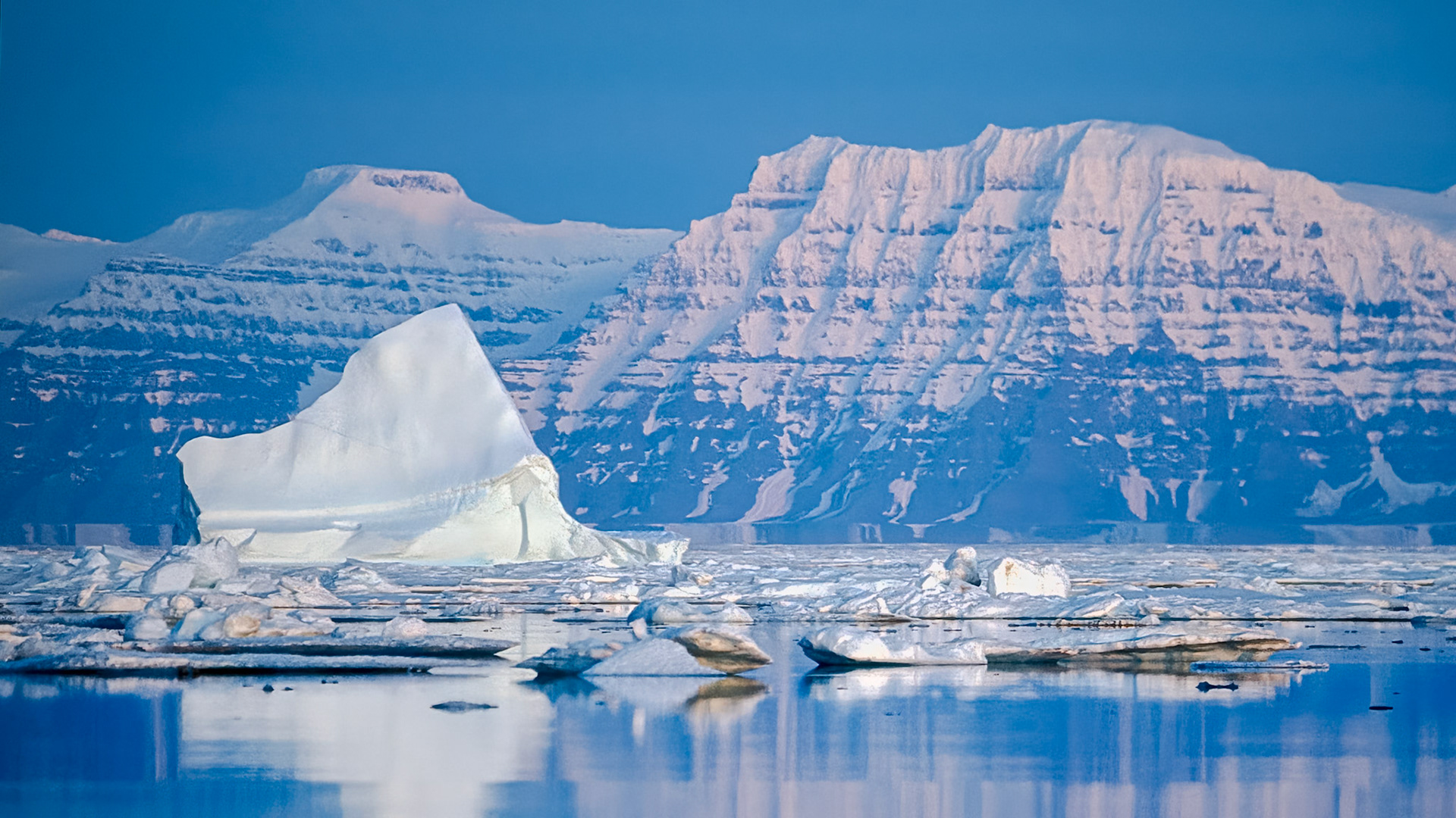 Born by the Glacier I.  - Kangertittivaq,East Greenland. August 1992