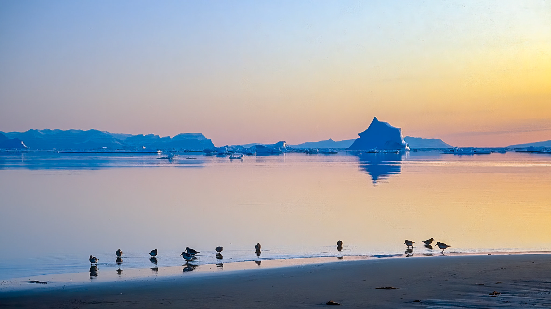 Night in Greenland.  - Kangertittivaq, East Greenland. August 1992