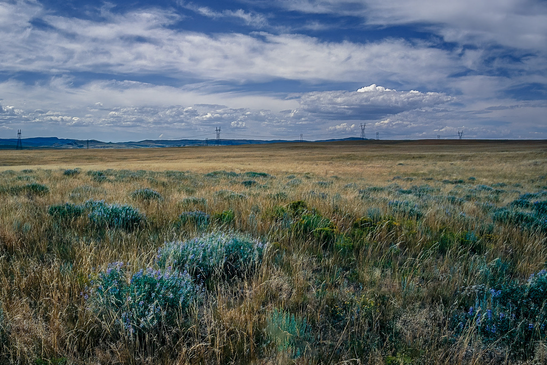Bluish. - Northern Colorado. August 1995