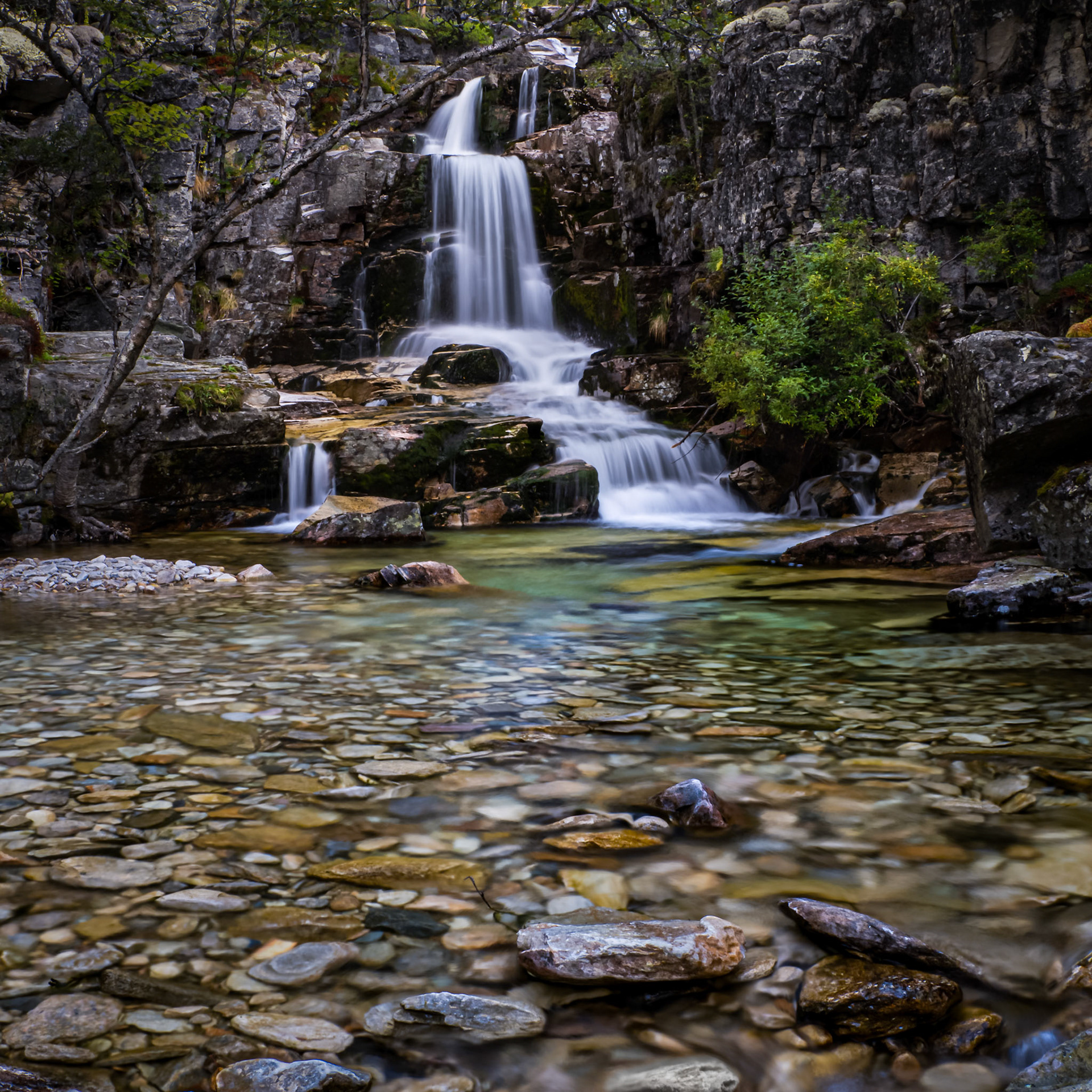 Tranquility.  - Hedmark, Norway. August 2022