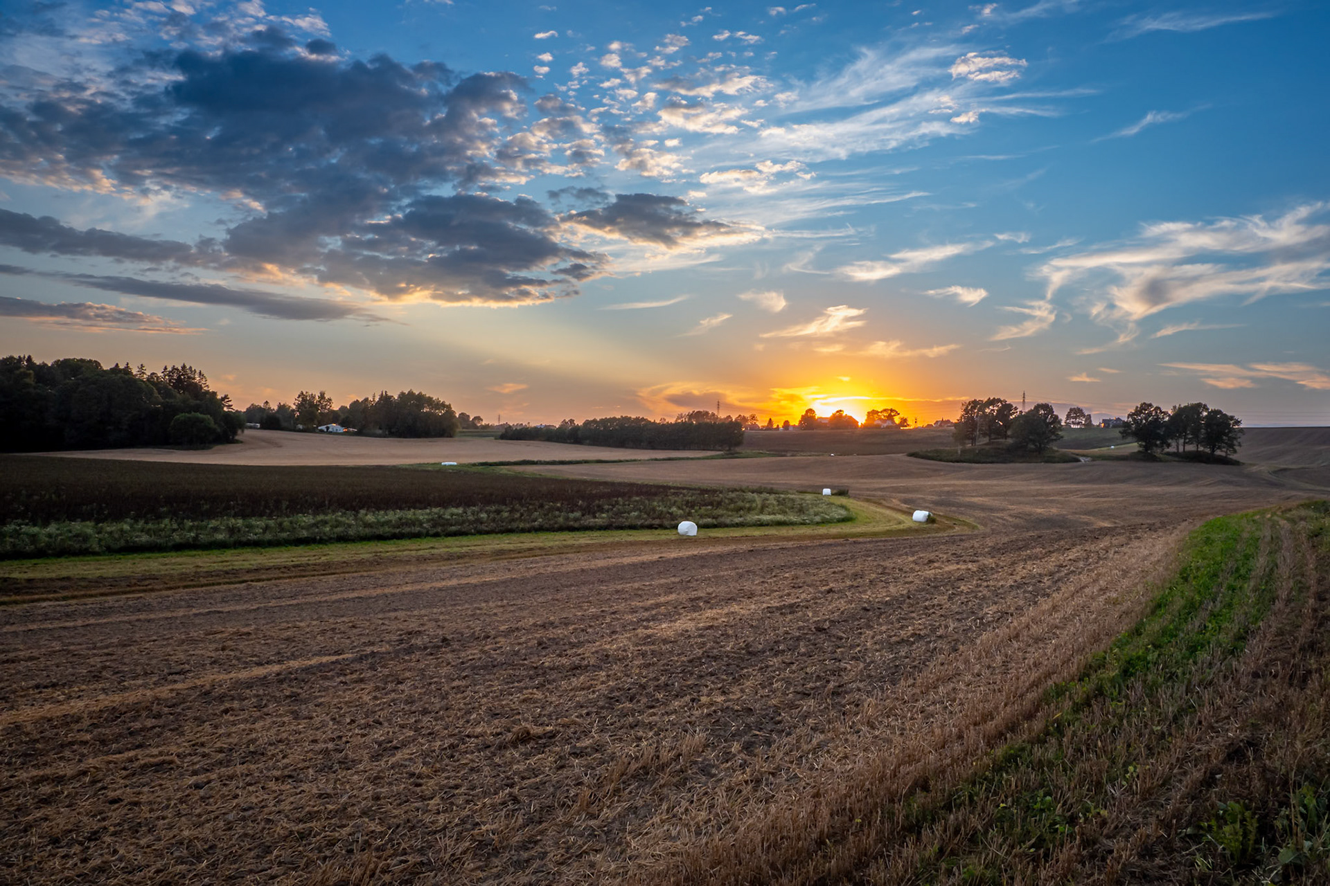 Sunset Field.  - Frogn, Norway. August 2020.