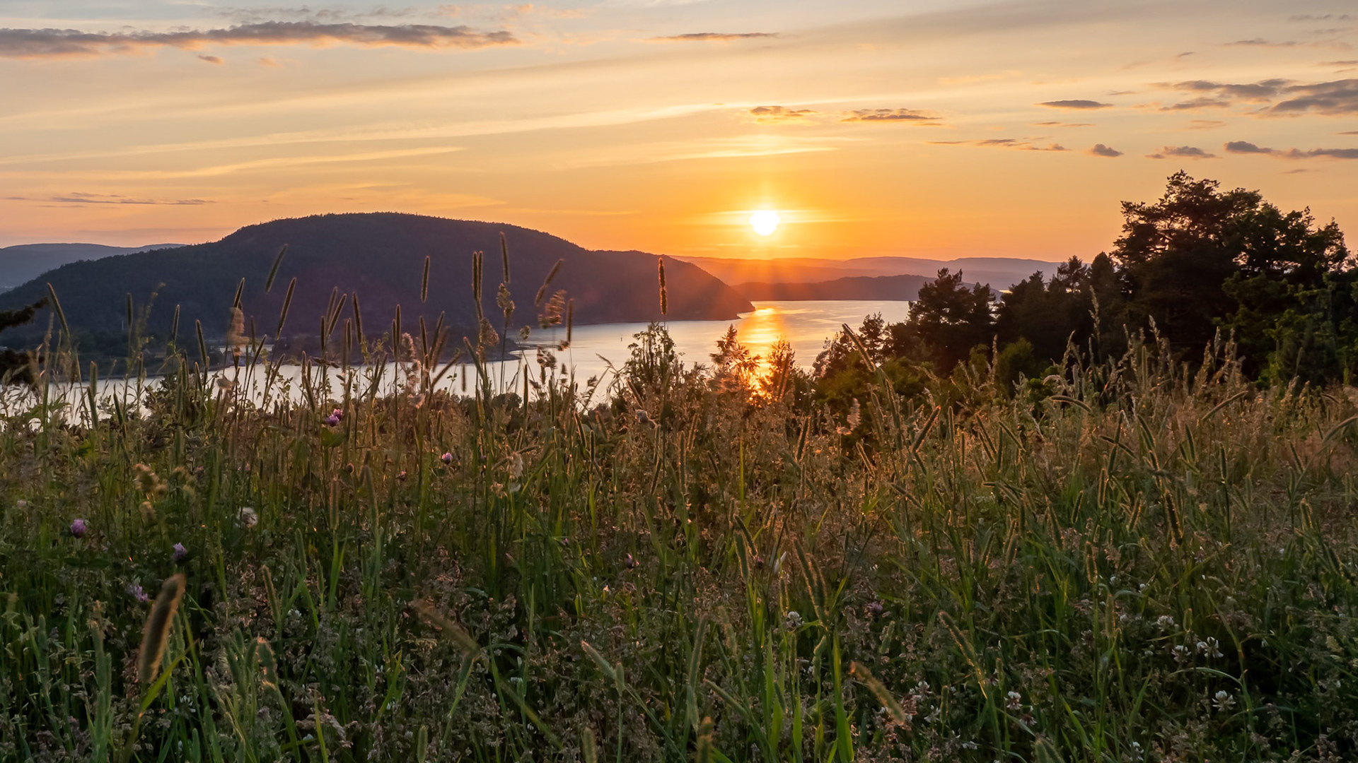 Summer Night.  - Drøbak, Norway. June 2020