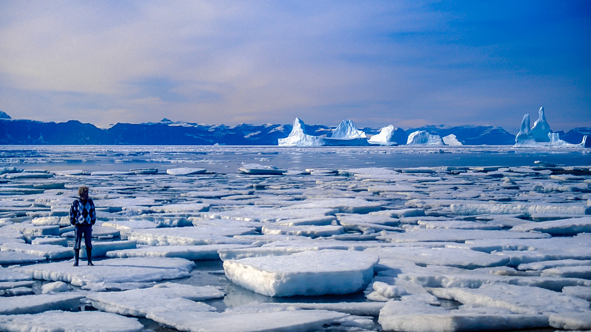 In the Frozen World.  - Kangertittivaq, East Greenland. August 1992