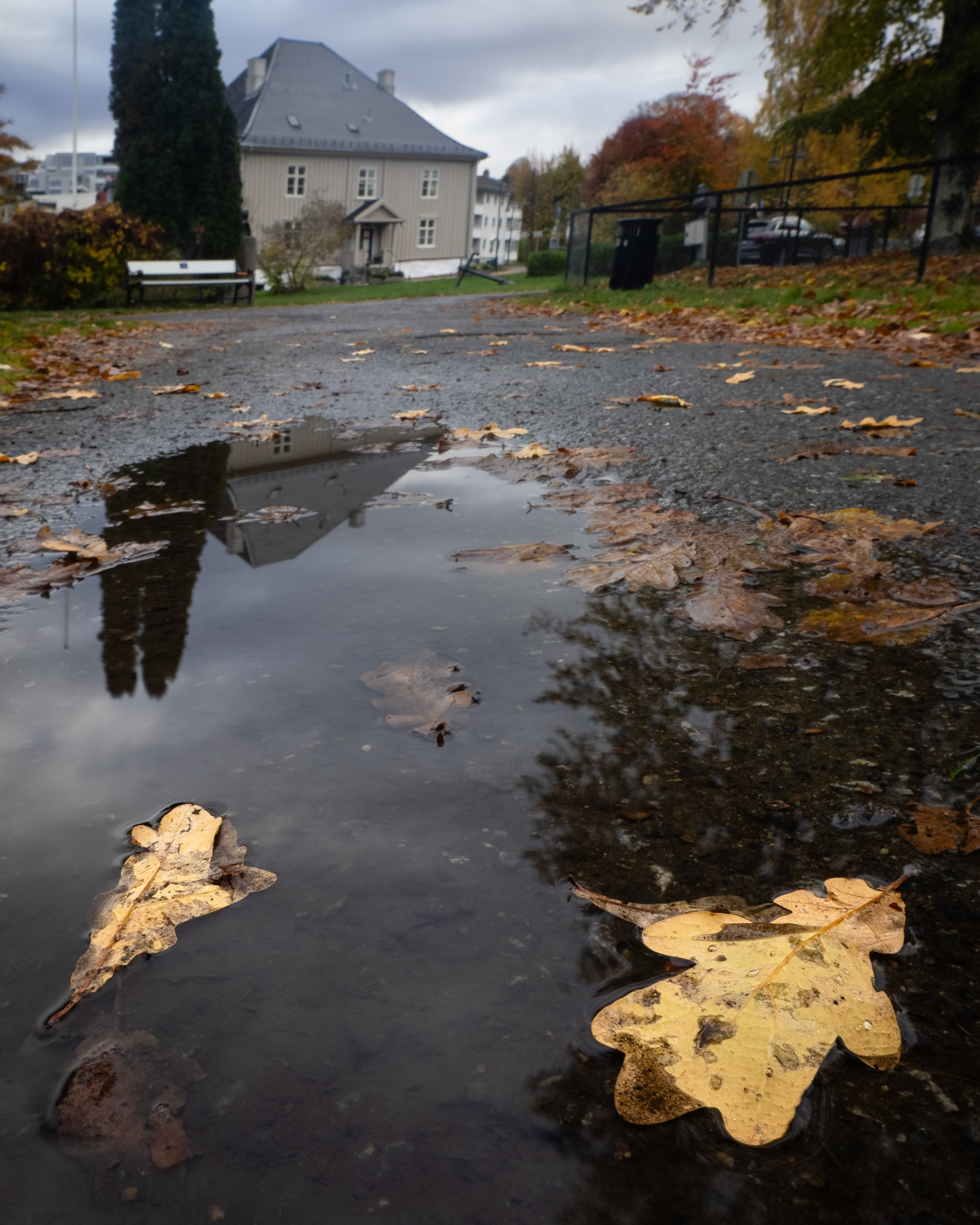 Reflection Path.   - Drøbak, Norway. October 2025.