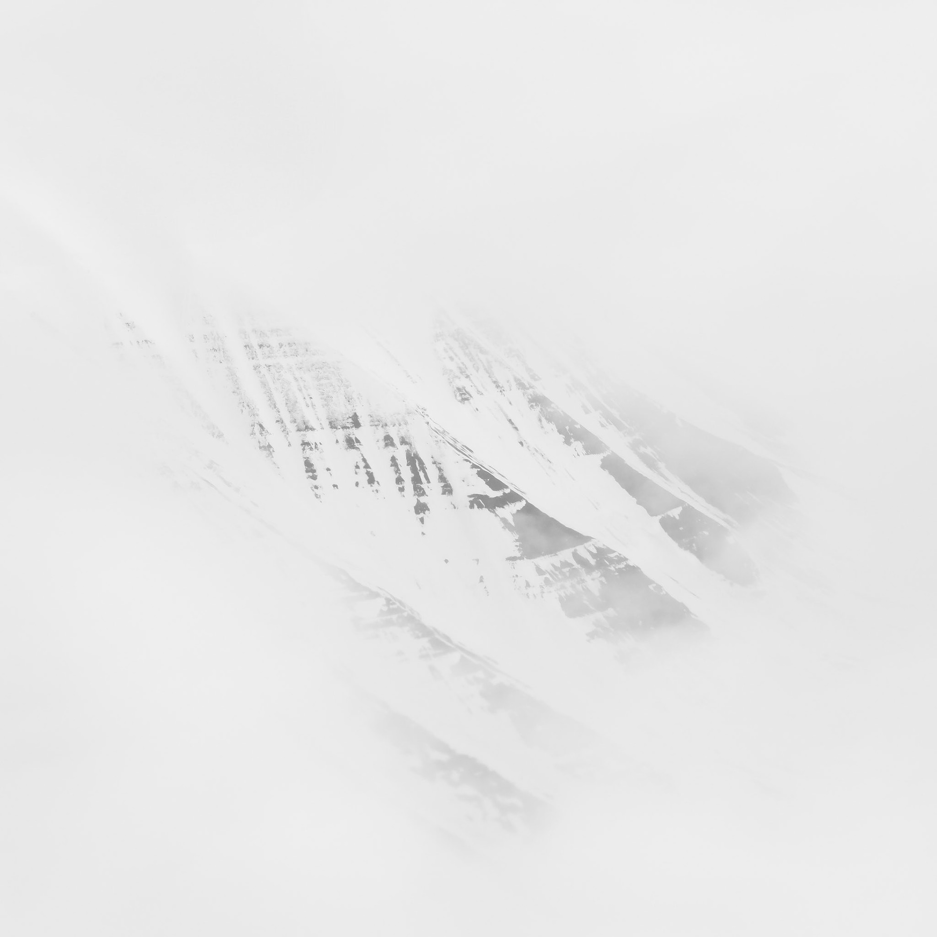 Glimpse.  - Svalbard, Norway. April 2021