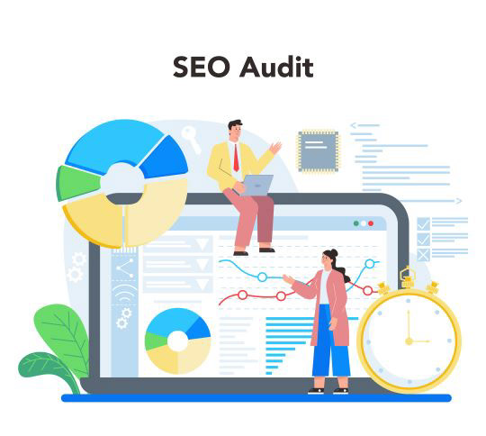 SEO Website Professional Audits