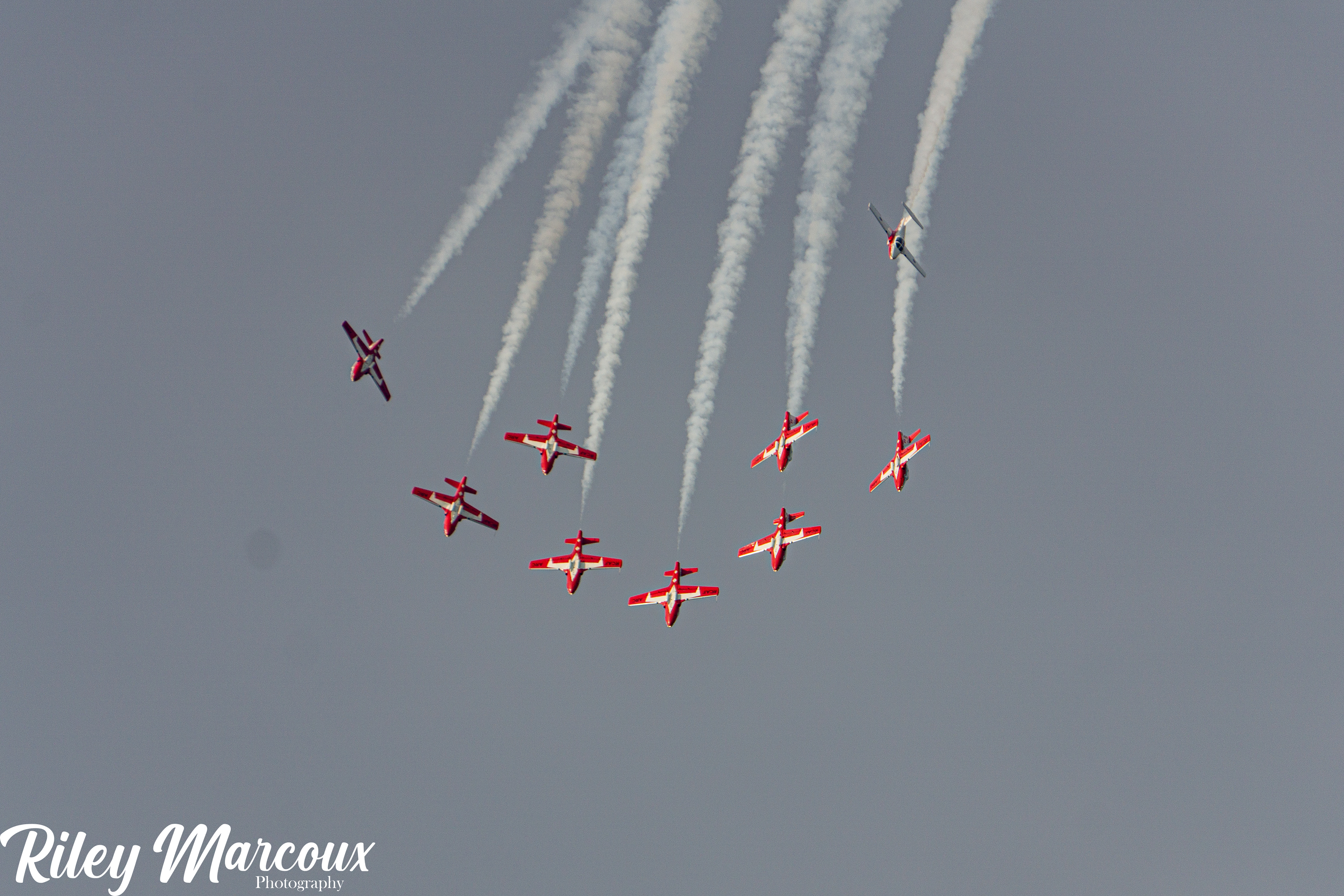 CANADIAN FORCES SNOWBIRDS