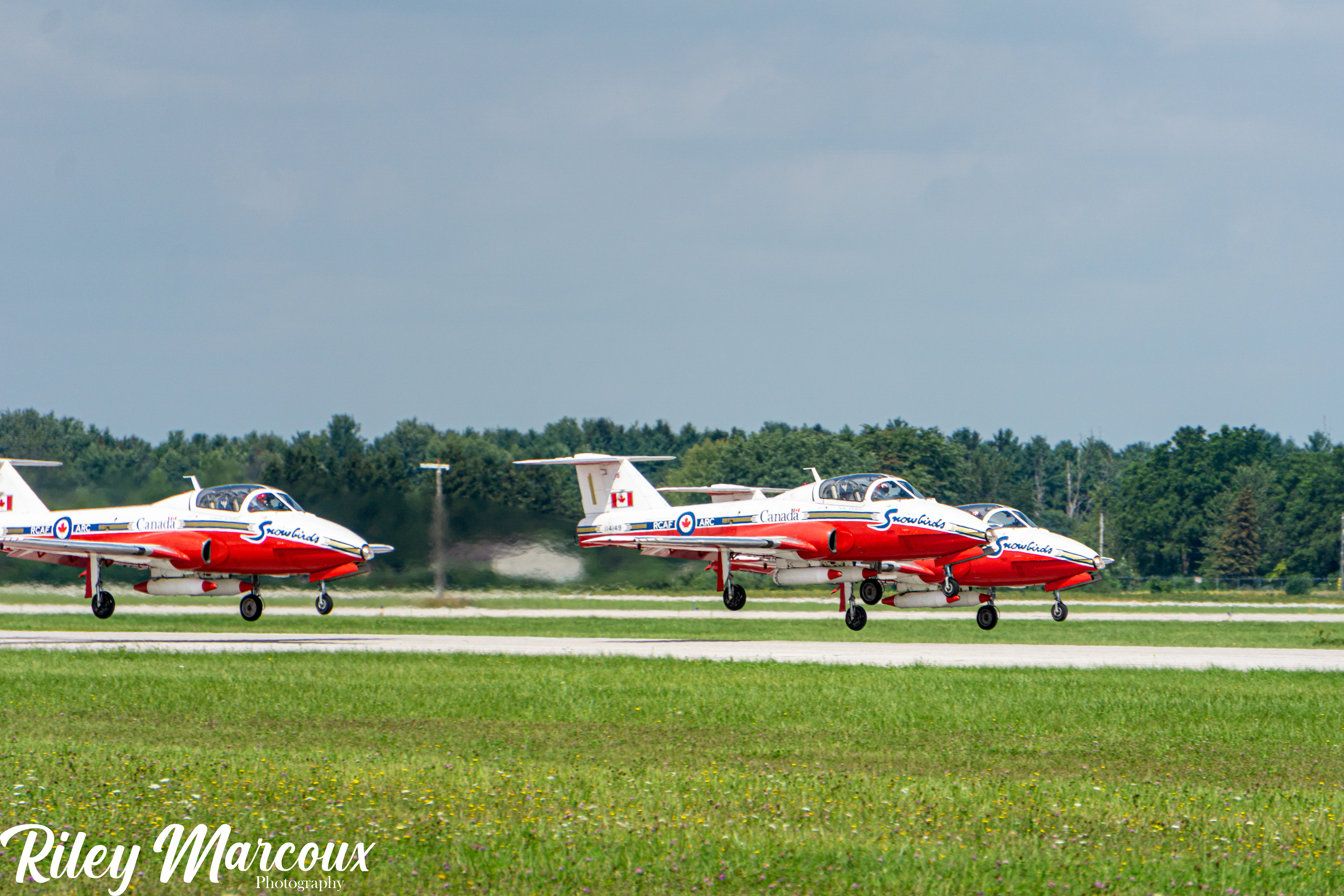 CANADIAN FORCES SNOWBIRDS