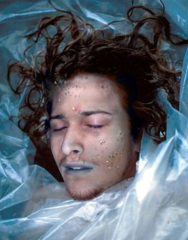 Wrapped in Plastic