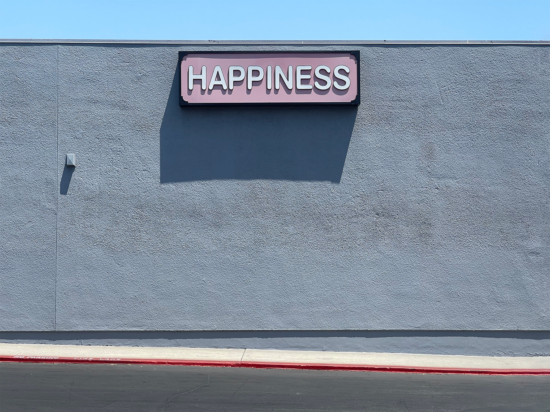 Happiness