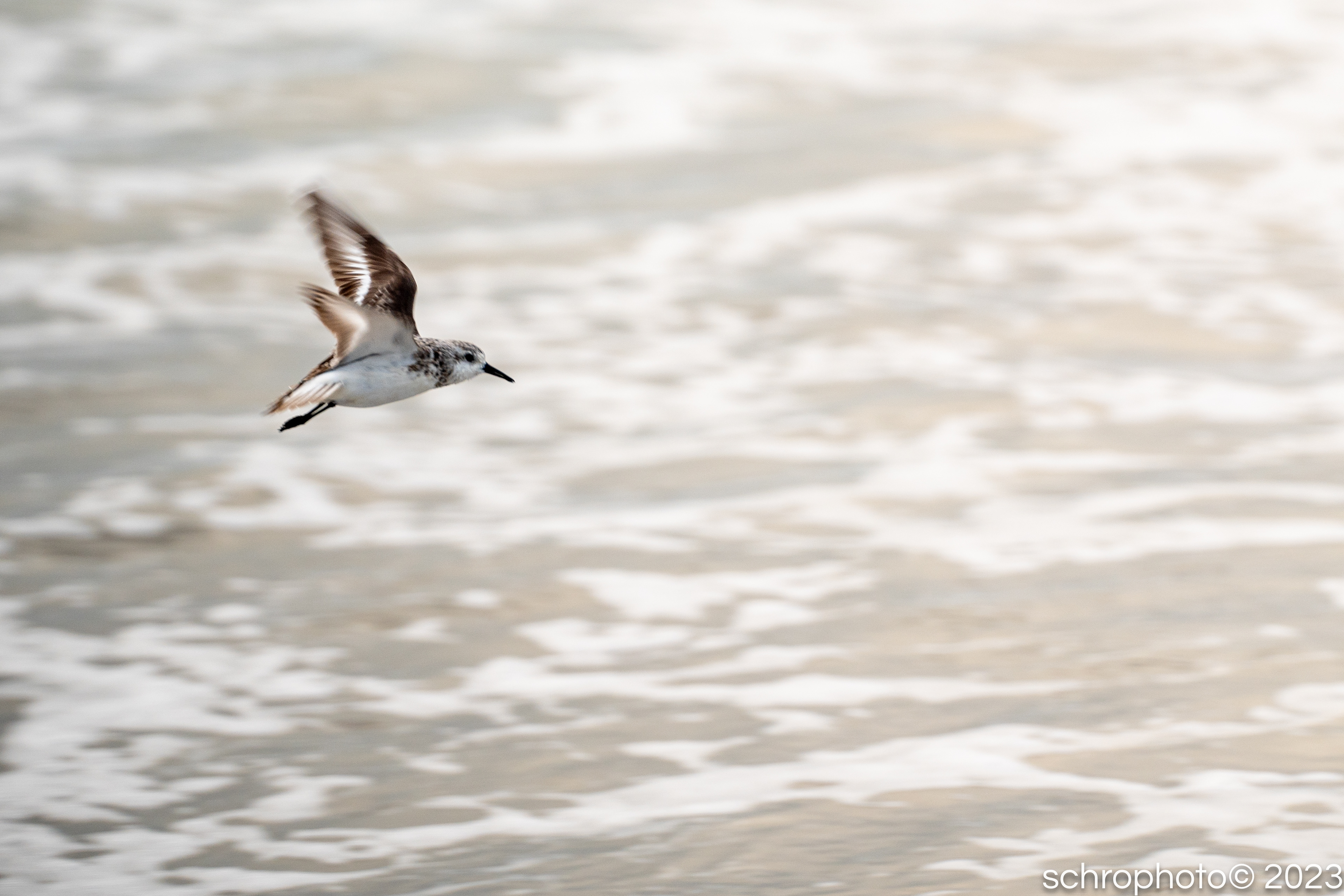 Emerald Isle, NC, USA 2023