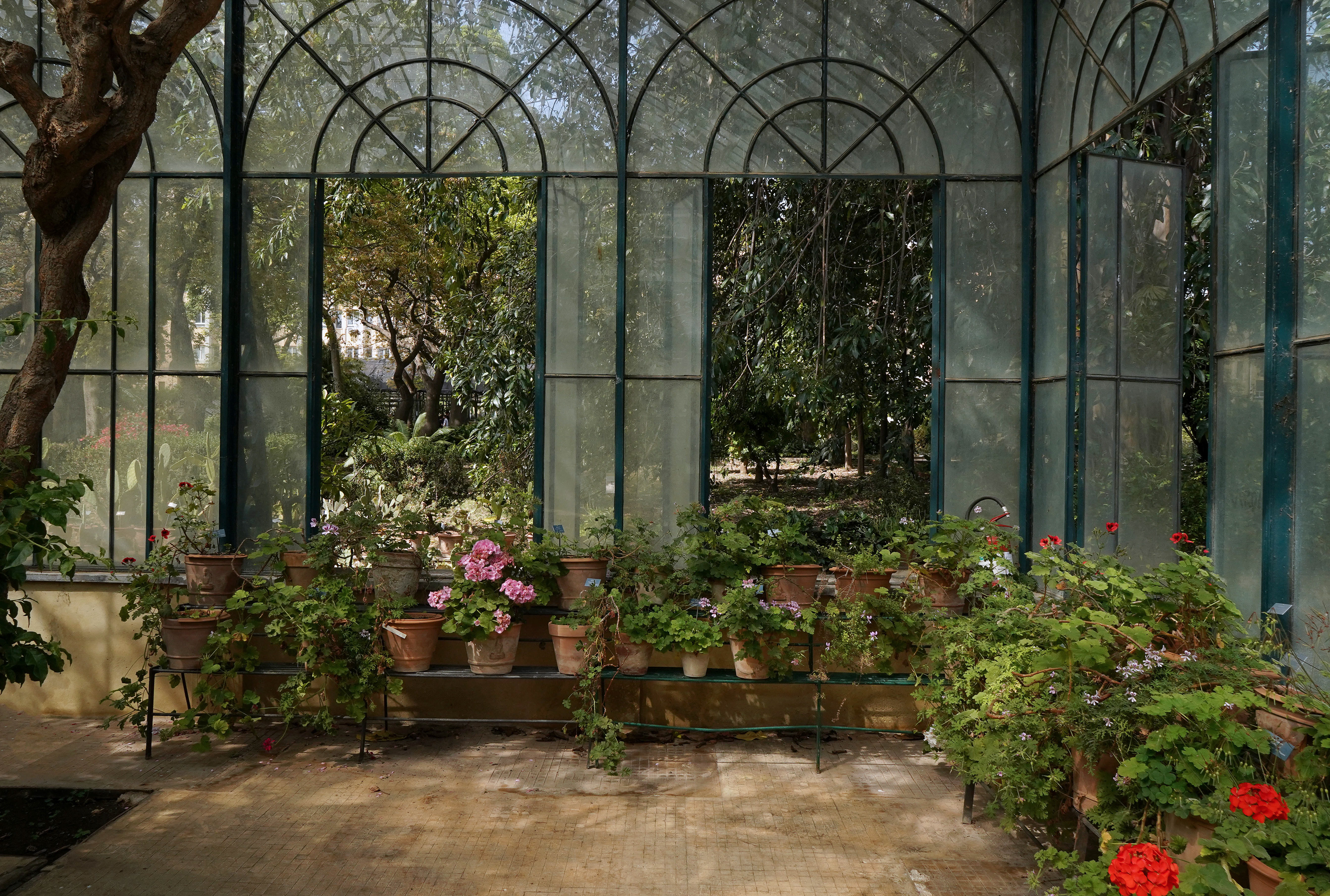 Location shooting and scouting at Palermo’s Botanical Garden in preparation for a commercial by the French jewelry brand Gemmyo.