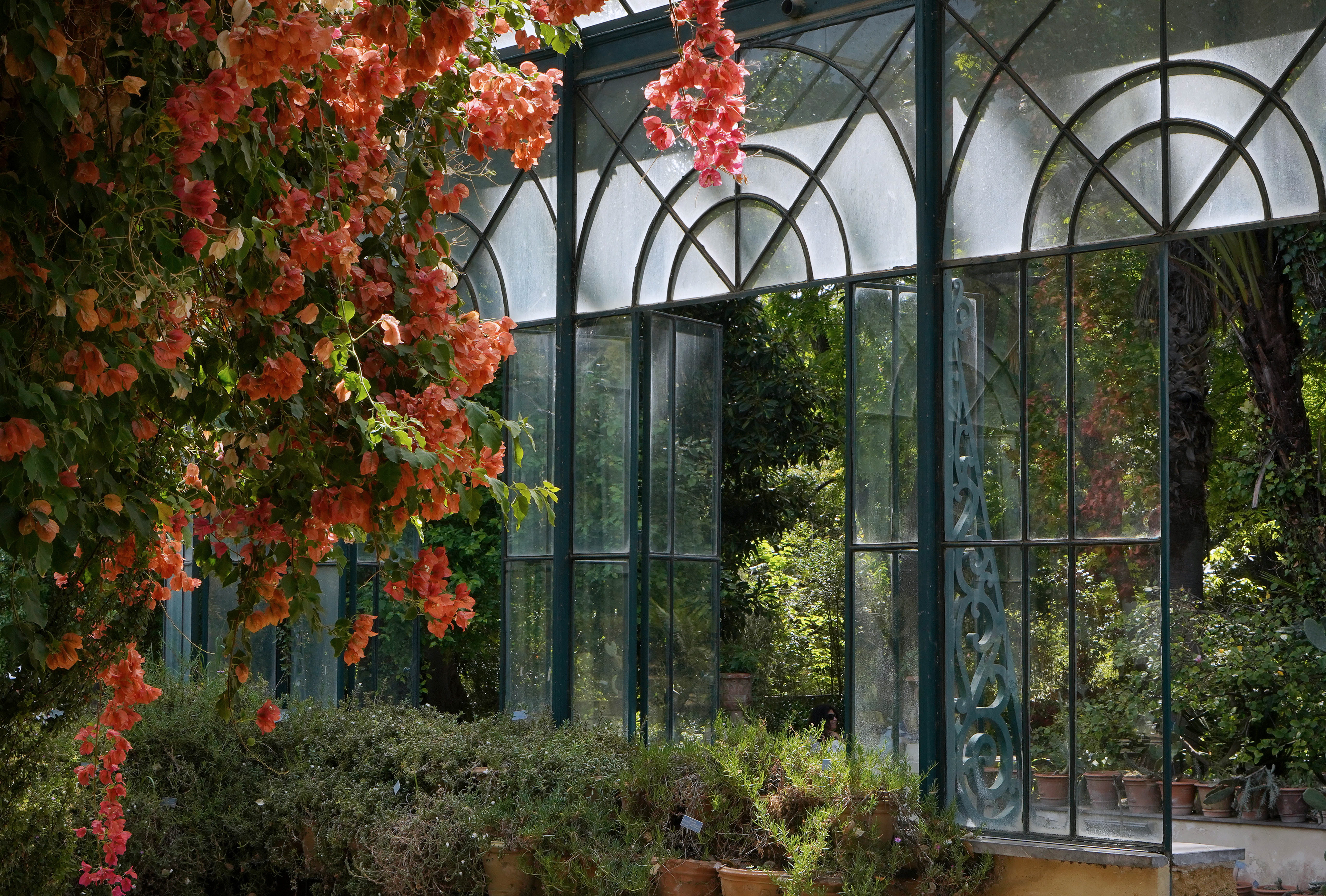 Location shooting and scouting at Palermo’s Botanical Garden in preparation for a commercial by the French jewelry brand Gemmyo.