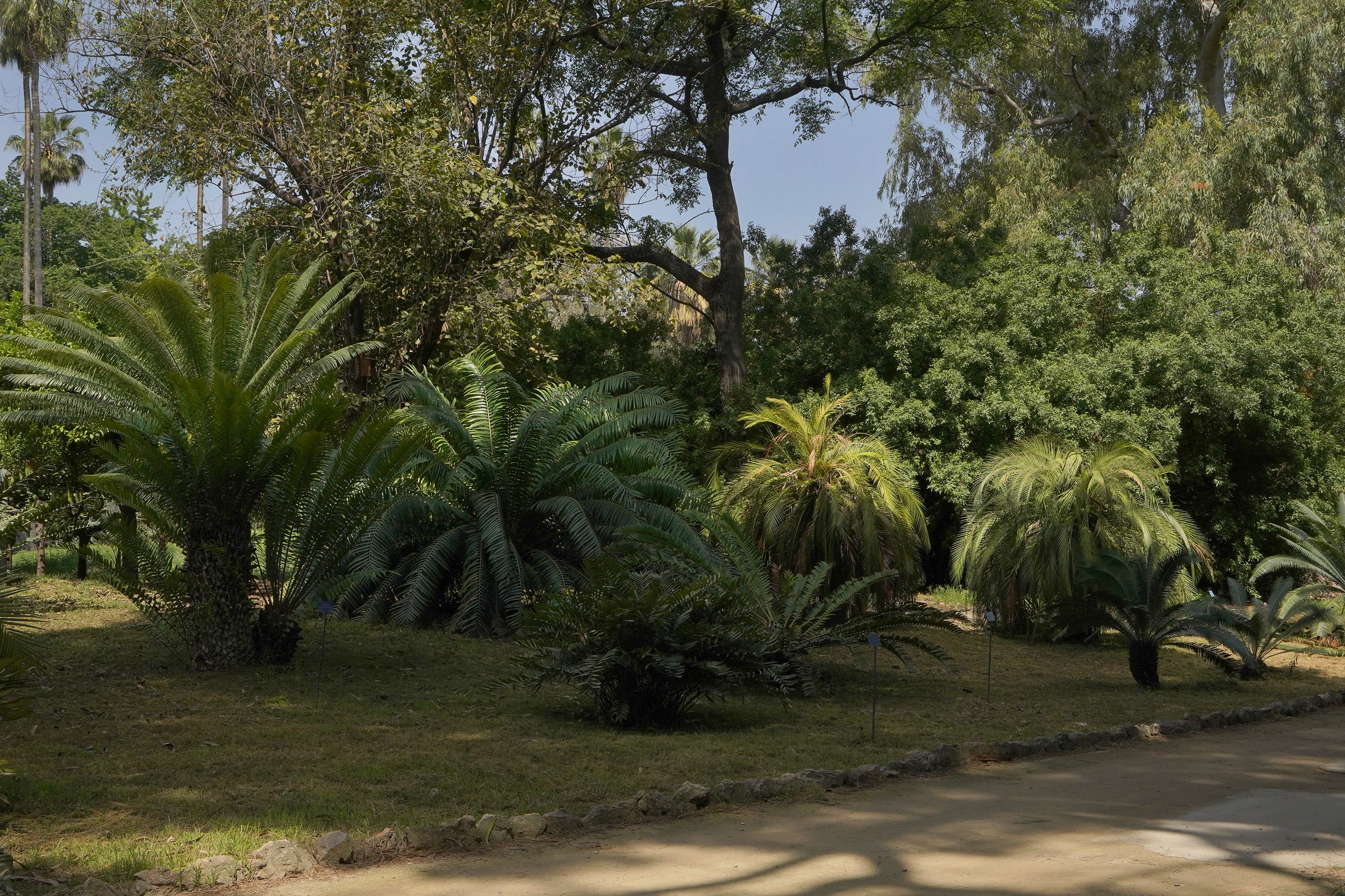 Location shooting and scouting at Palermo’s Botanical Garden in preparation for a commercial by the French jewelry brand Gemmyo.