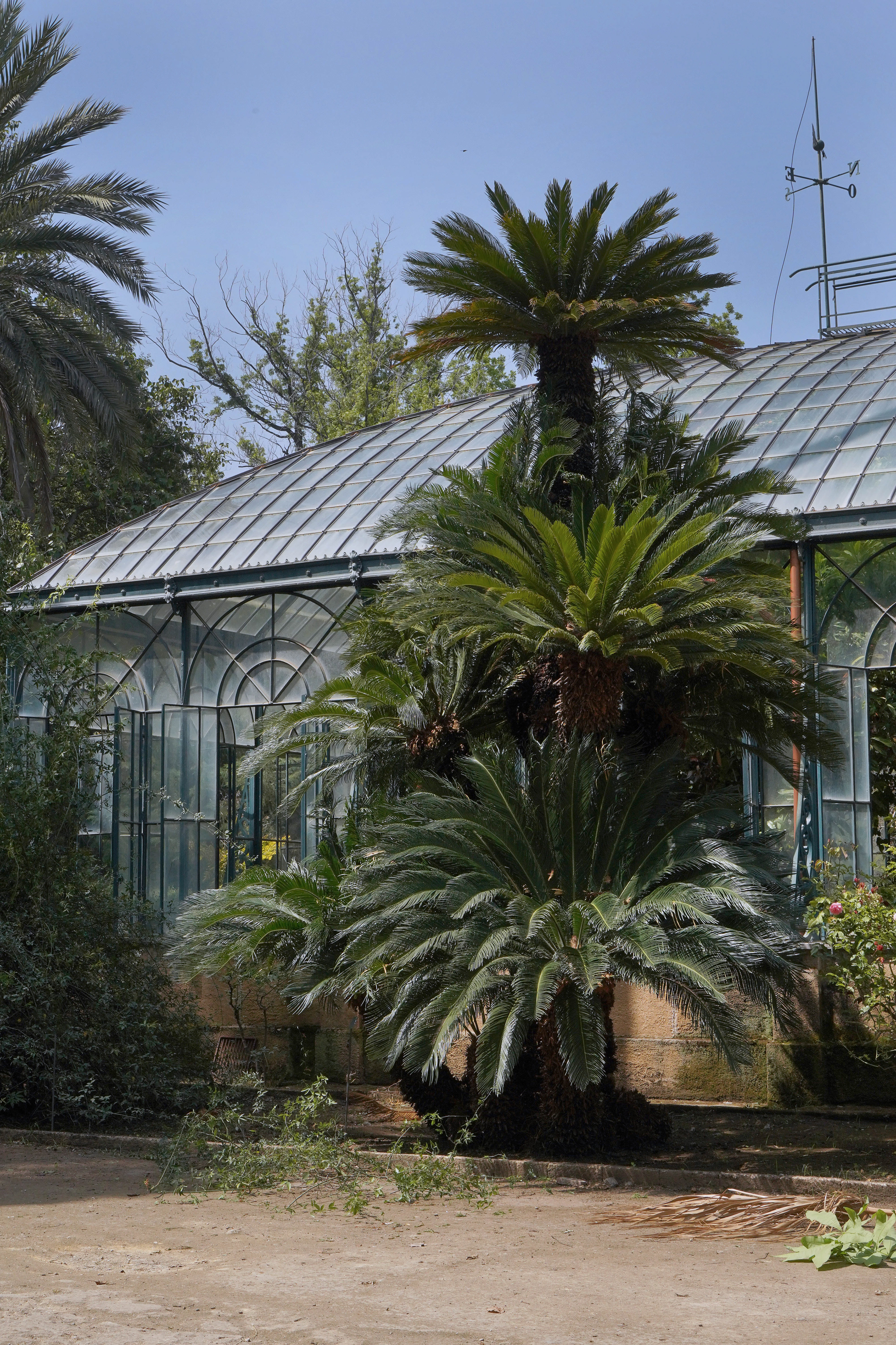 Location shooting and scouting at Palermo’s Botanical Garden in preparation for a commercial by the French jewelry brand Gemmyo.