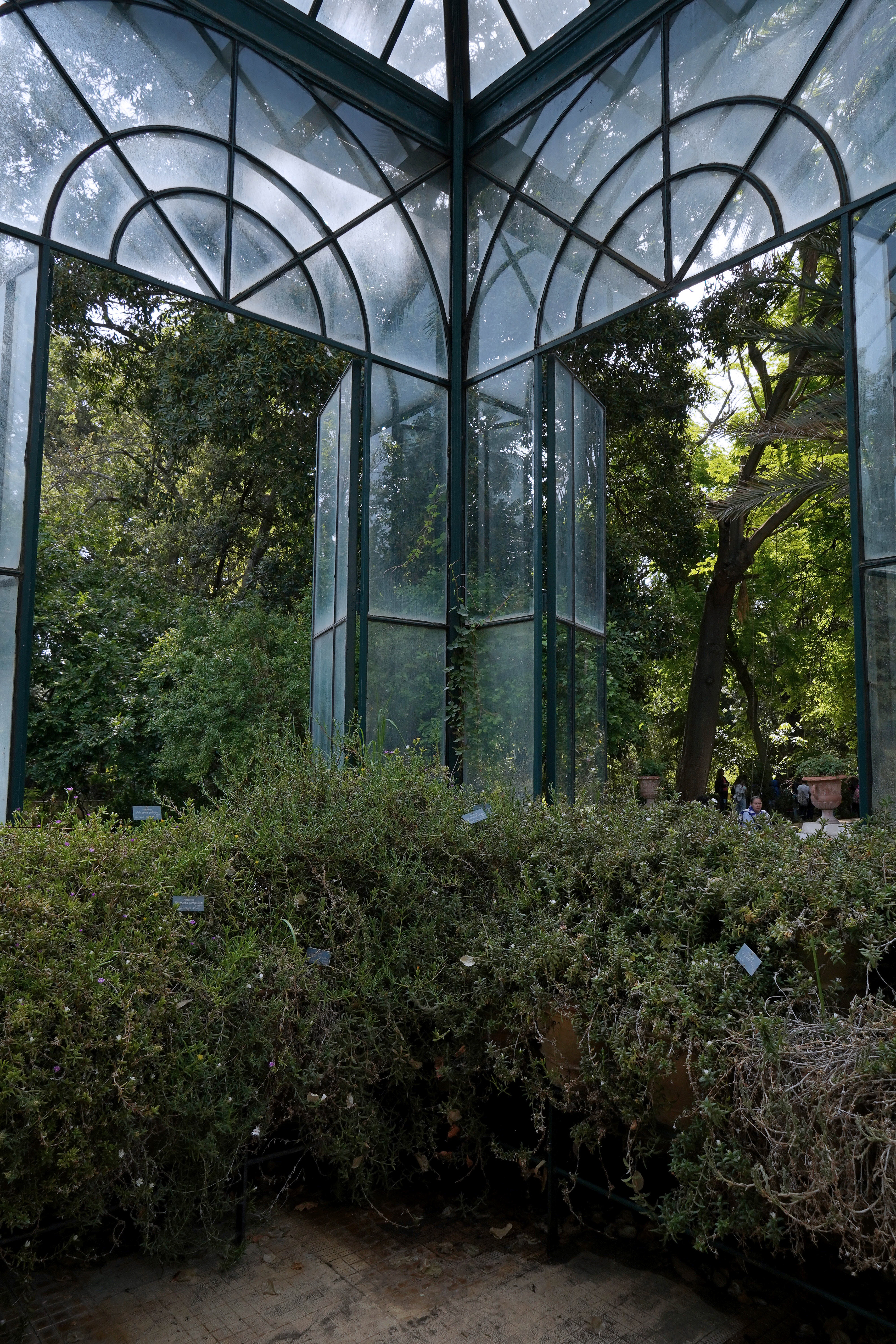 Location shooting and scouting at Palermo’s Botanical Garden in preparation for a commercial by the French jewelry brand Gemmyo.