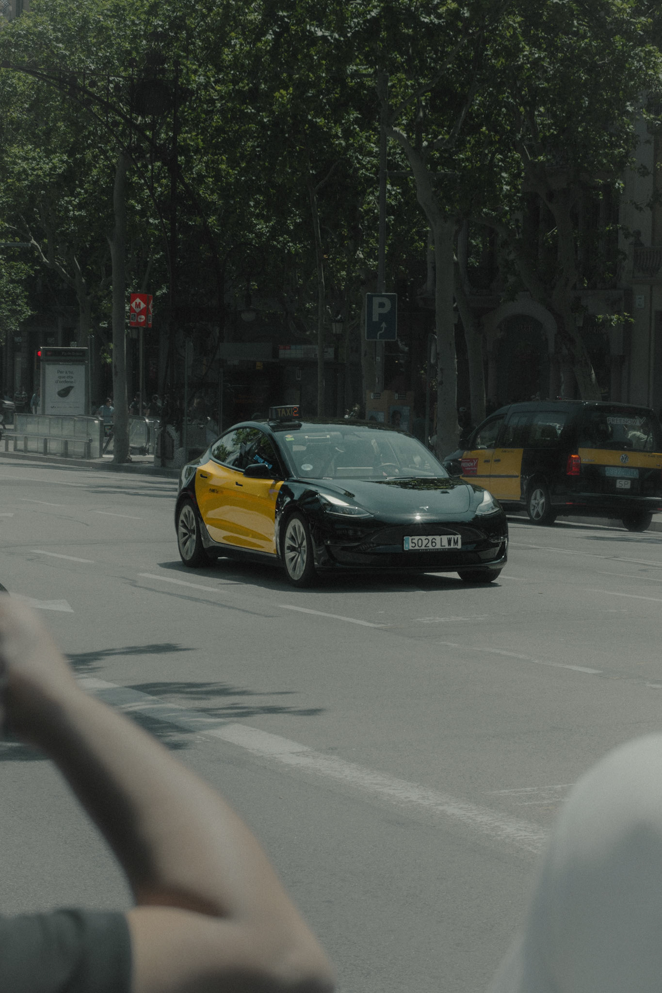 Tesla Taxi