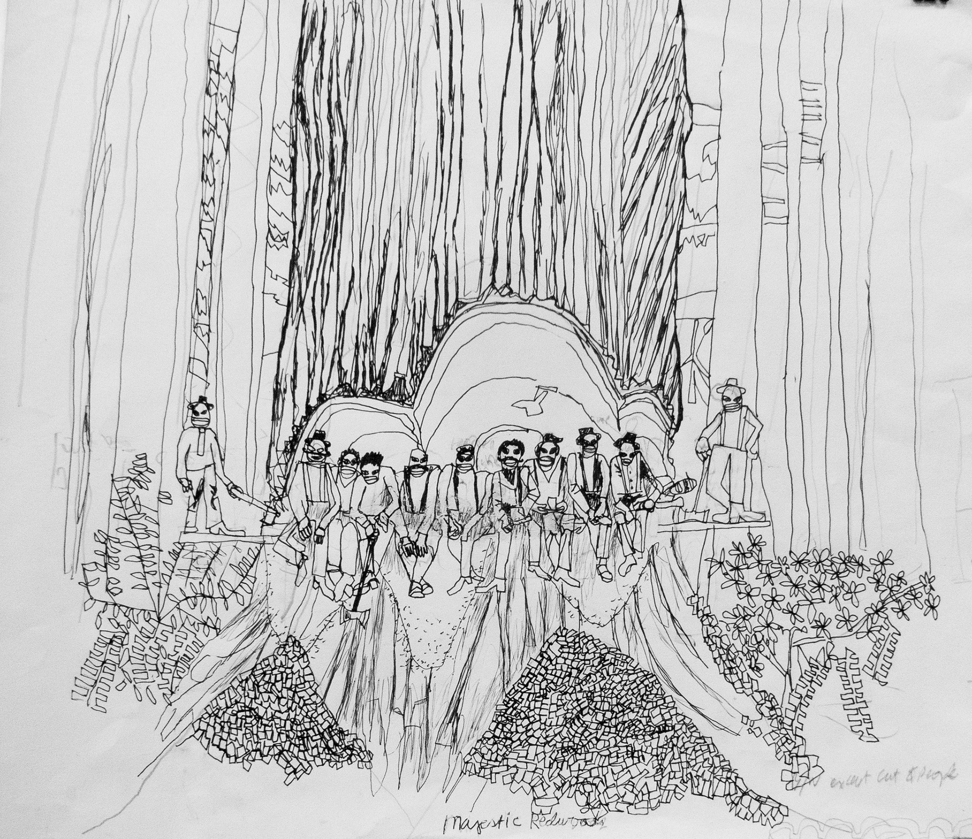 Majestic Redwoods.  16"x 18"  Ink and Pencil.