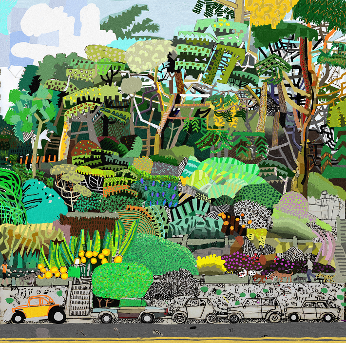 Buena Vista Park Dogfight Study.