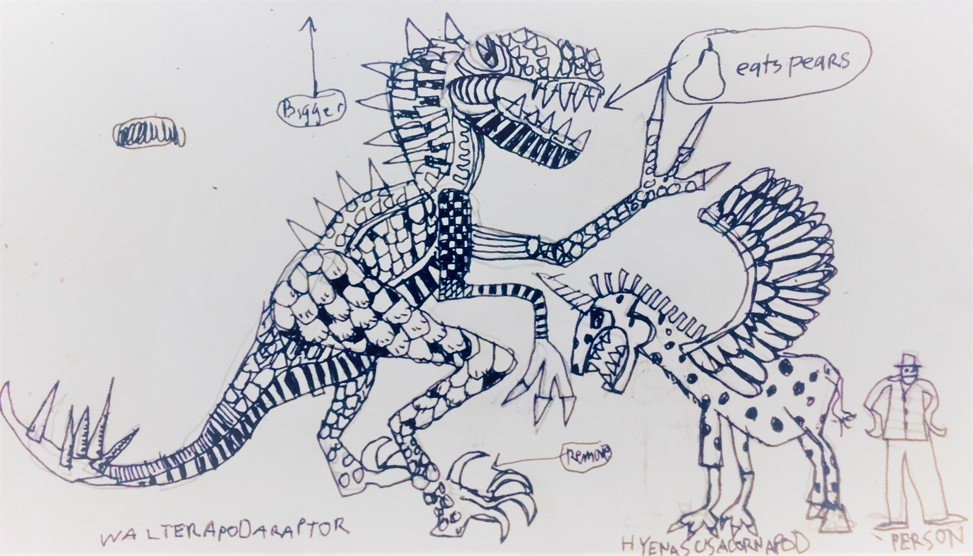 Walterapodaraptor.  10"x 18"  Ink and Pencil.