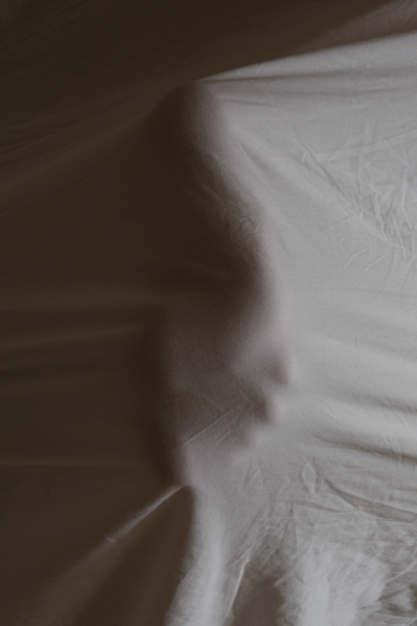 En kropslig umiddelbarhed og ubetinget eksistens.