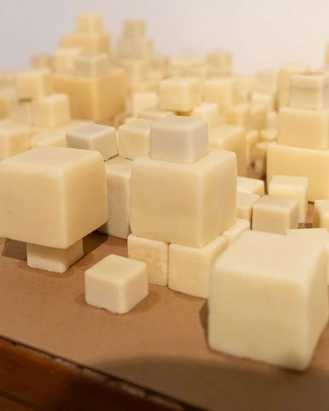 Memória, 2025 - Mariana Beraldo