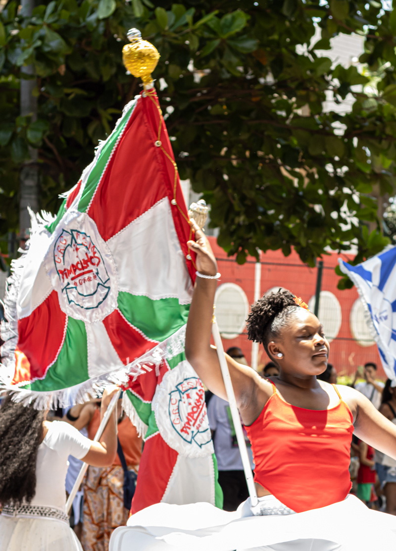 Pimpolhos da Grande Rio