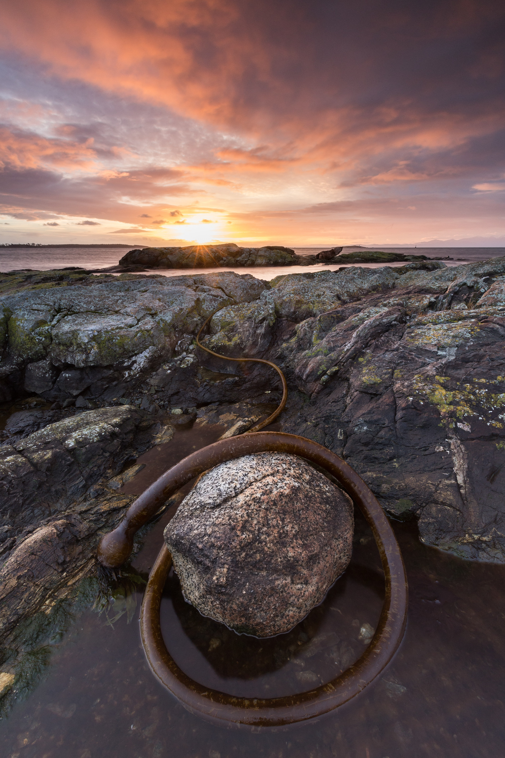 Cattle Point, Vancouver Island