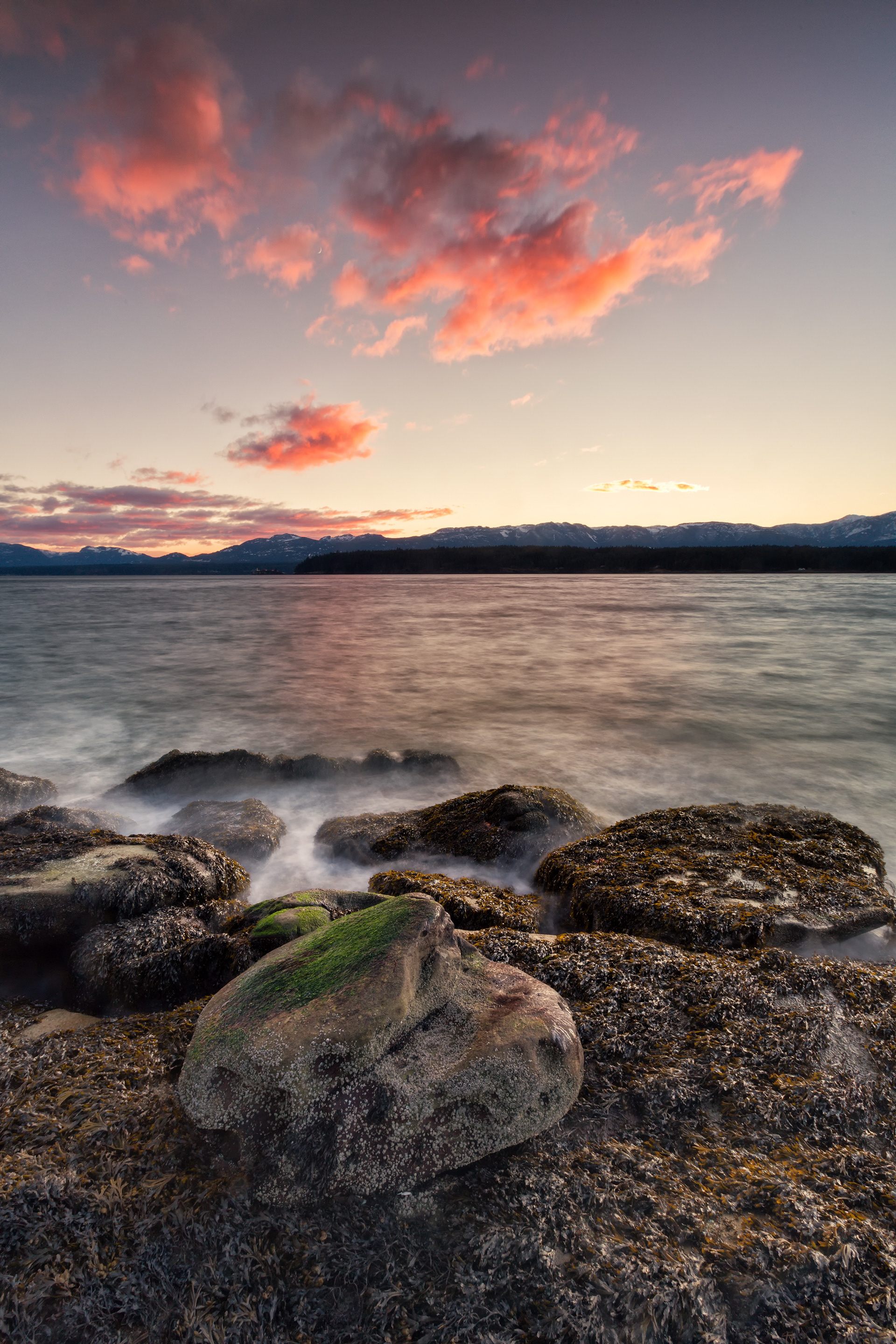 Heron Rocks, Hornby Island