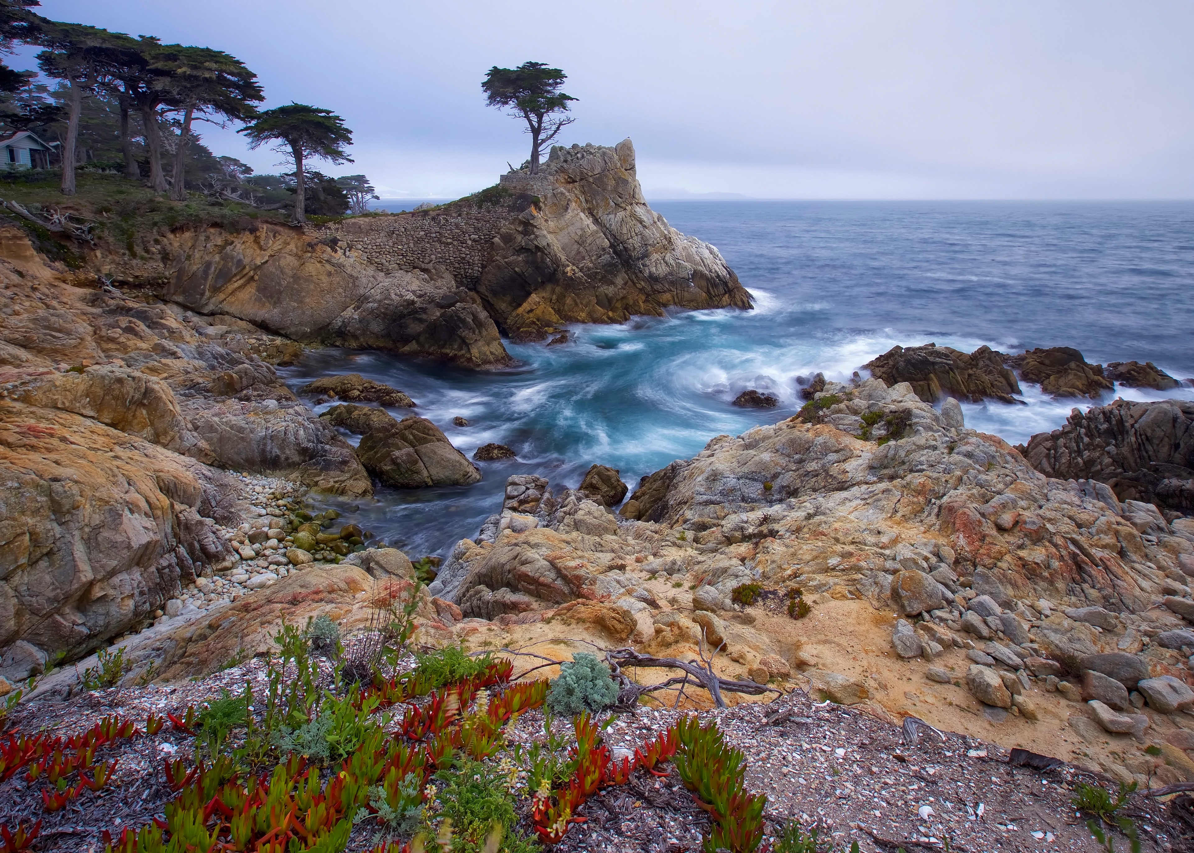 Lone Cyprus, Monterey California