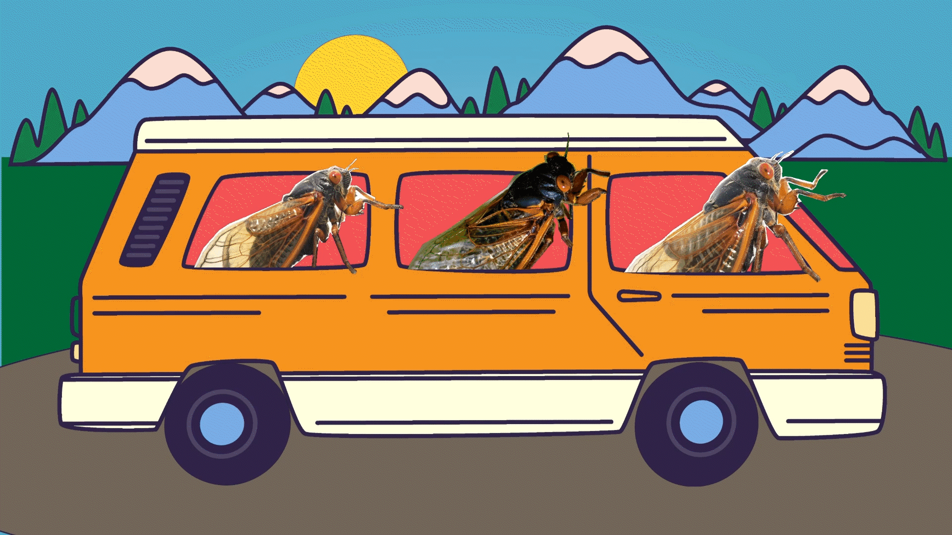 Combined phots and modified stock illustration