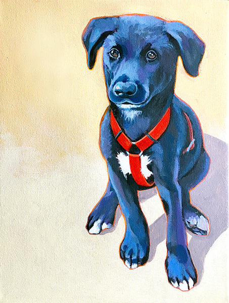 INDY - 31 cm x 40 cm - (SOLD)