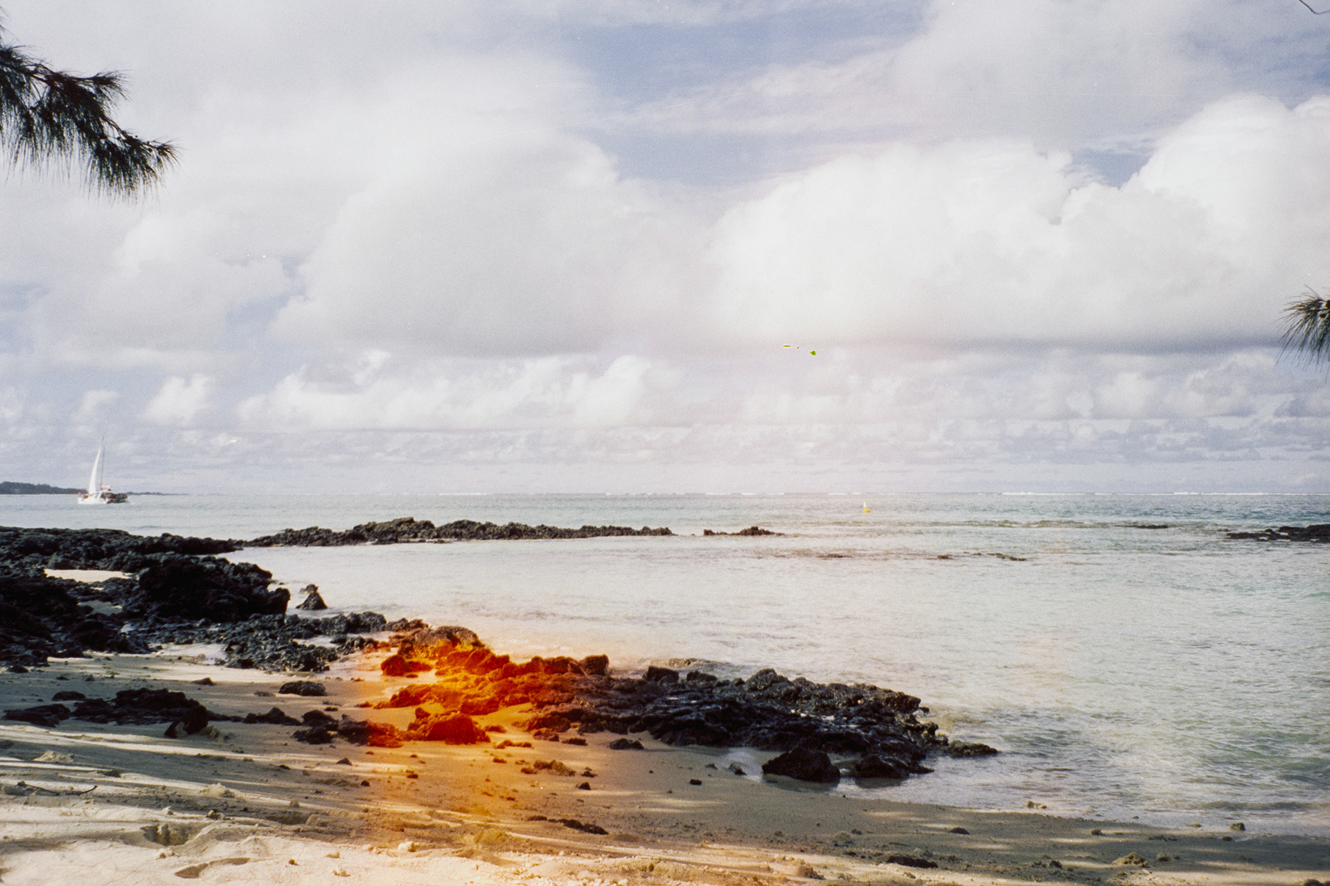 Mauritius,  janeiro de 2024. Fotografia analógica.
