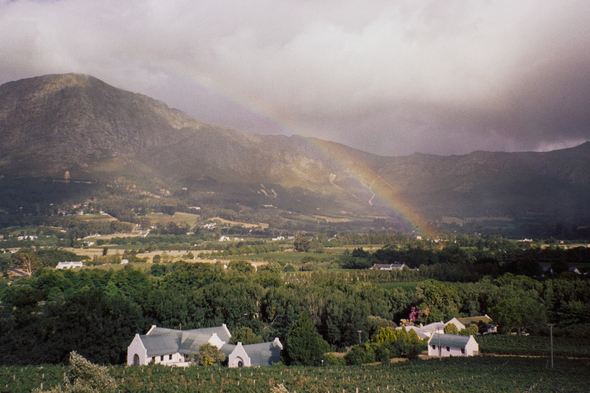 Stellenbosch, janeiro de 2024. Fotografia analógica.