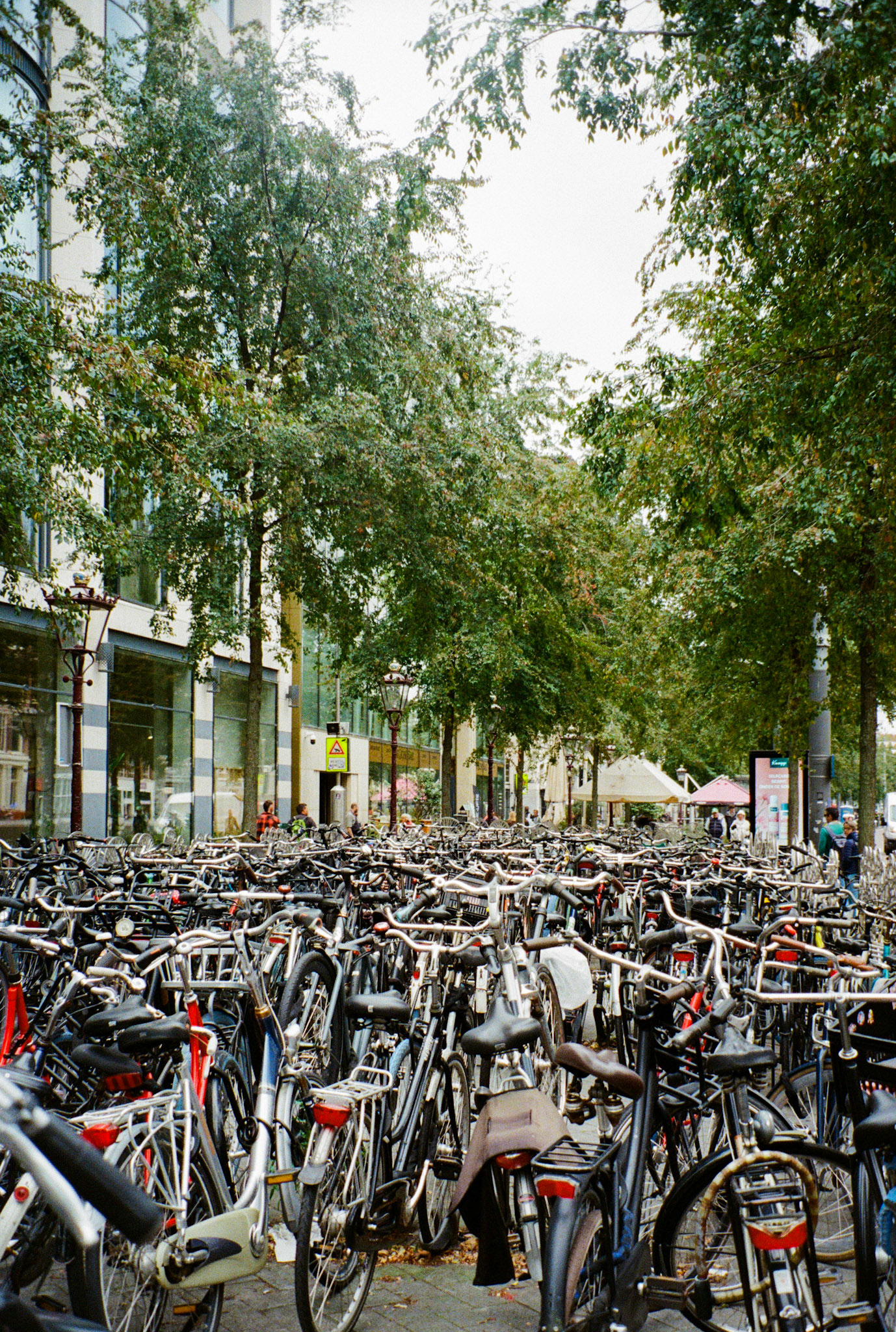 Amsterdam, setembro de 2025. Fotografia analógica.