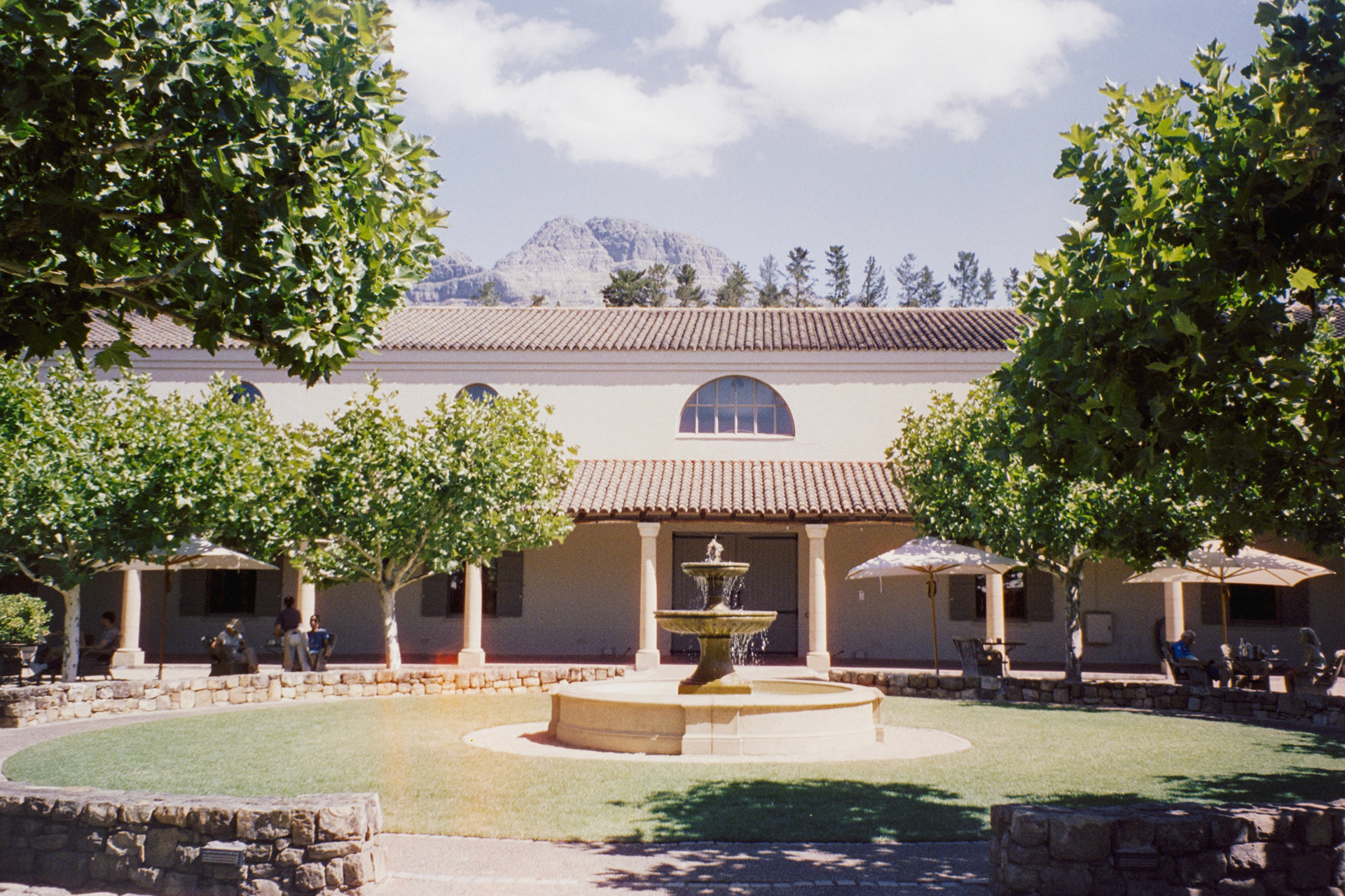 Stellenbosch, janeiro de 2024. Fotografia analógica.