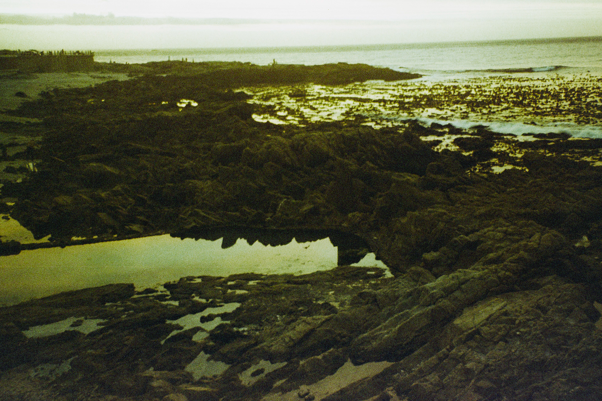 Cape Town, janeiro de 2024. Fotografia analógica.