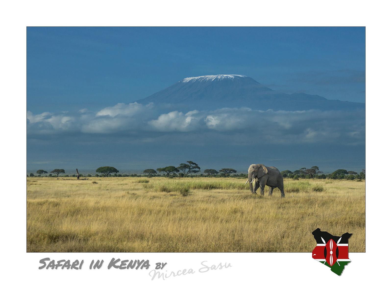 An extinct volcano, Kilimanjaro is the highest mountain on the African continent, with its 5,895 m (19,340 ft) Uhuru peak, and the highest free-standing mountain in the world. Locals affectionately call it the shy mountain, because its peak is almost permanently covered in clouds.  Kilimanjaro Mountain Amboseli National Park, Kenya