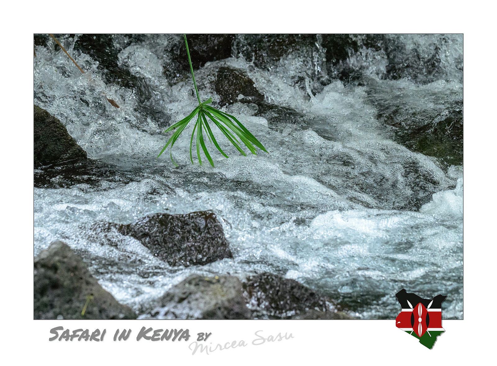 The Tsavo River originates in the Chyulu Hills, where it disappears into the extremely porous volcanic soil. It is estimated that the water spends 25 years to travel the 50 kilometers to the place where it reappears on the surface through the Mzima spring. Due to this natural filtration process, the water of the spring is extremely pure.  Mzima Springs Tsavo West National Park, Kenya