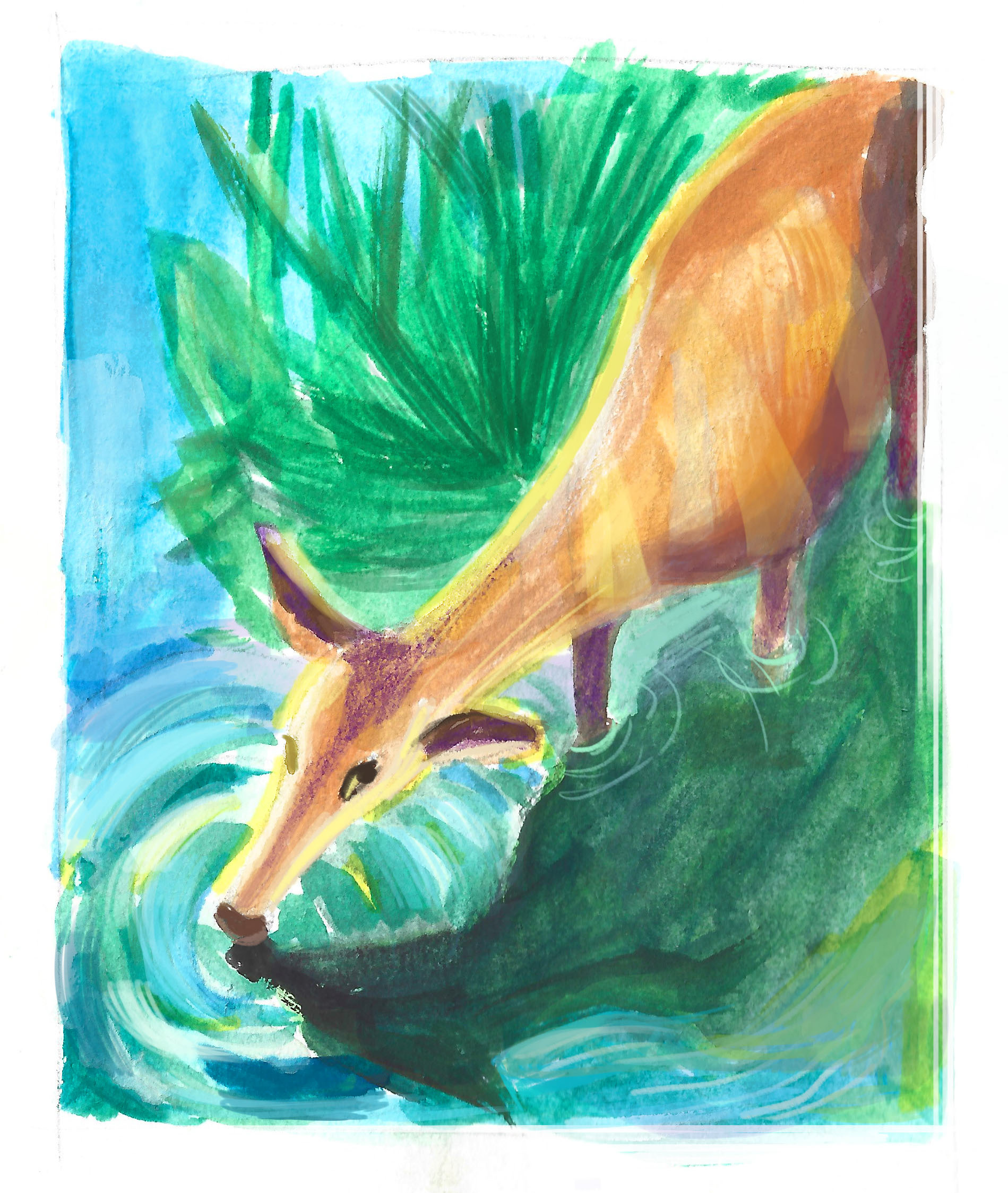 Gouache painting of a deer drinking water from a stream. Mixed media illustration