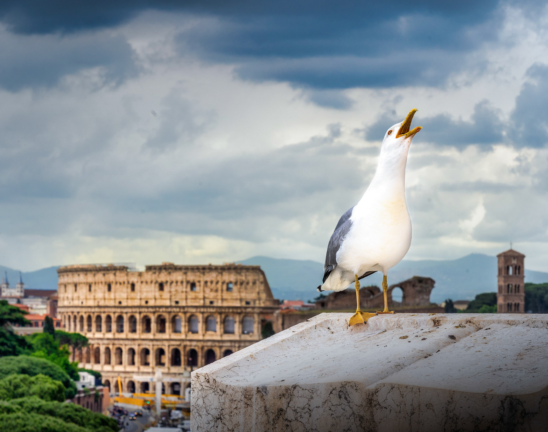 Colosseum set fra Campidoglio