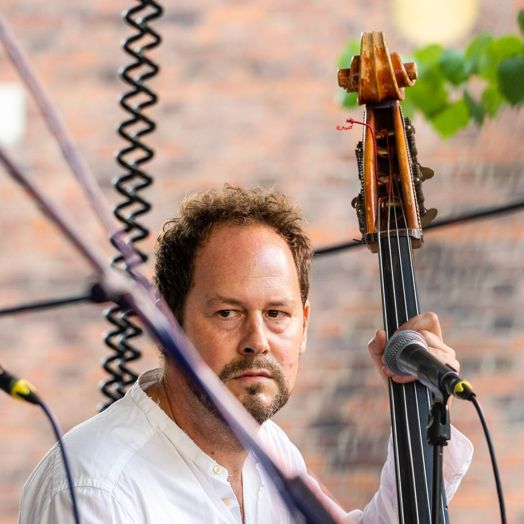 Swedish musician  Gustav Ljunggren on stage with Kira Skov and Howe Gelb in Copenhagen Jazz Festival on Balders Plads (Balder's Square), Copenhagen