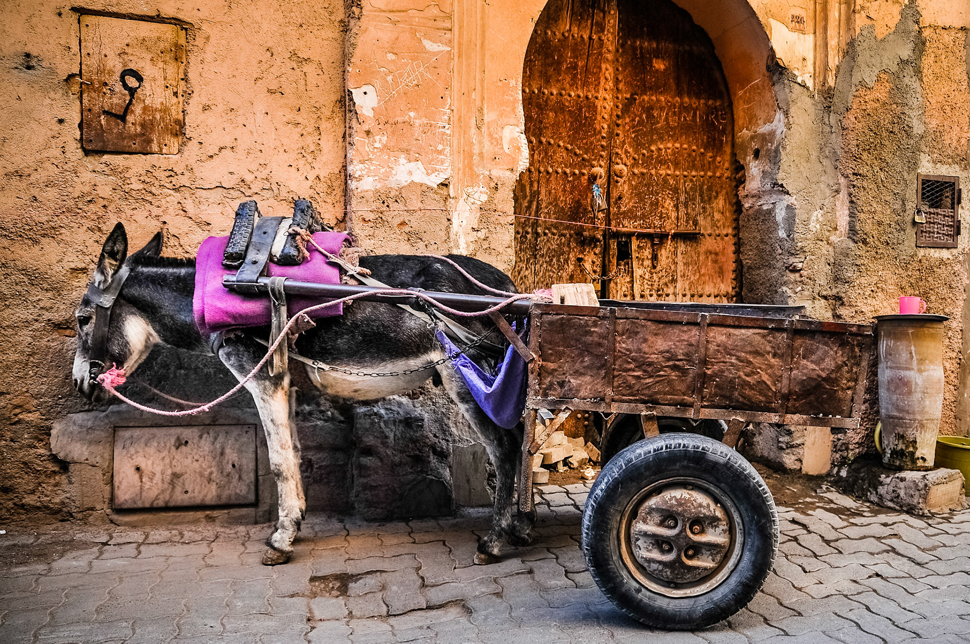 Marrakech, Vakantie in Marokko, 2013