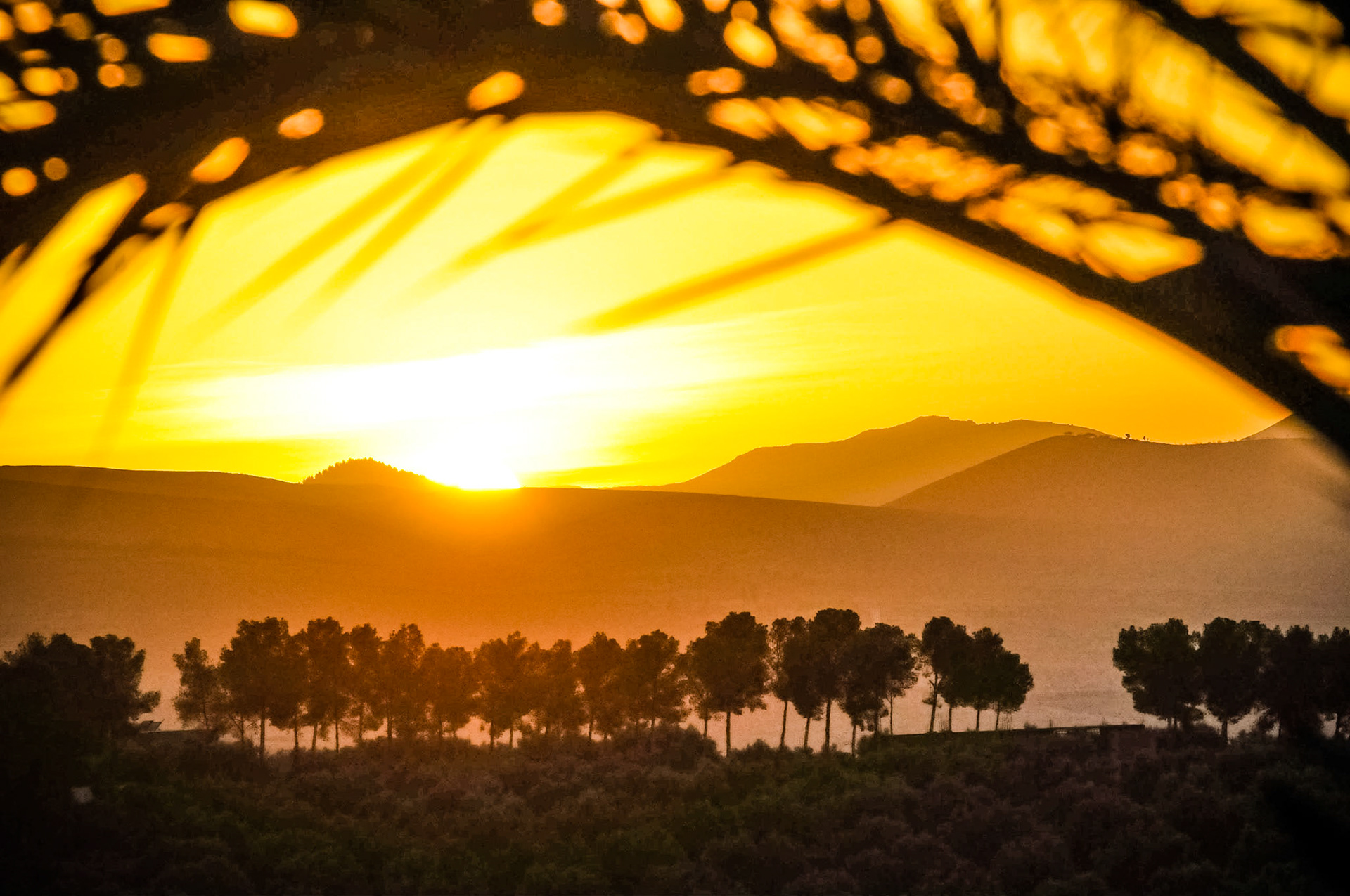 Ourika Valley in Marokko, 2013